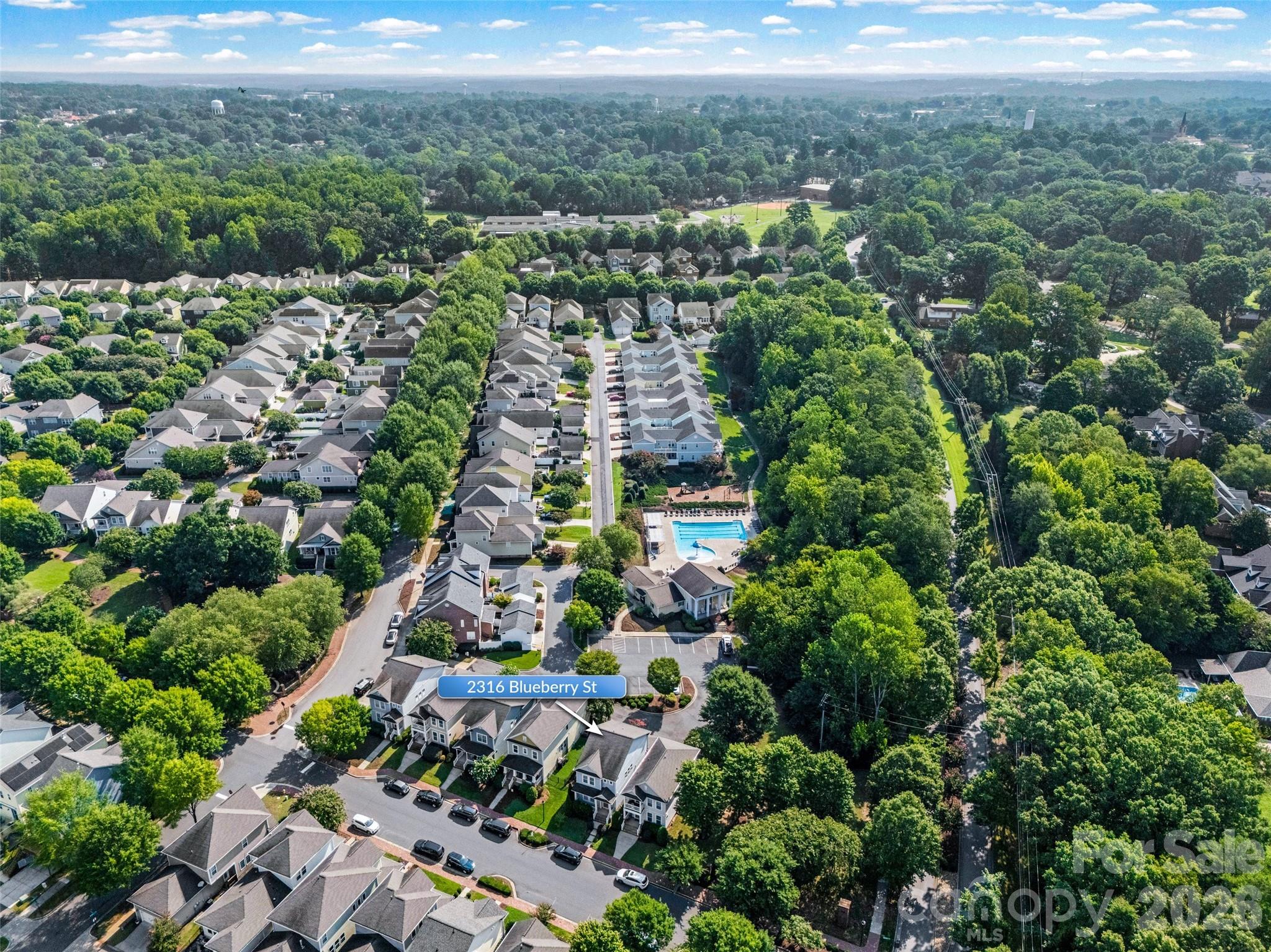 2316 Blueberry Street — Belmont