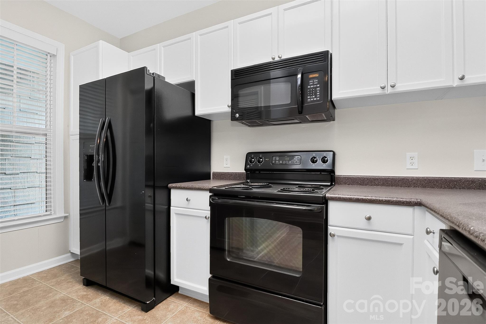 18736 Nautical Drive #301 — Cornelius