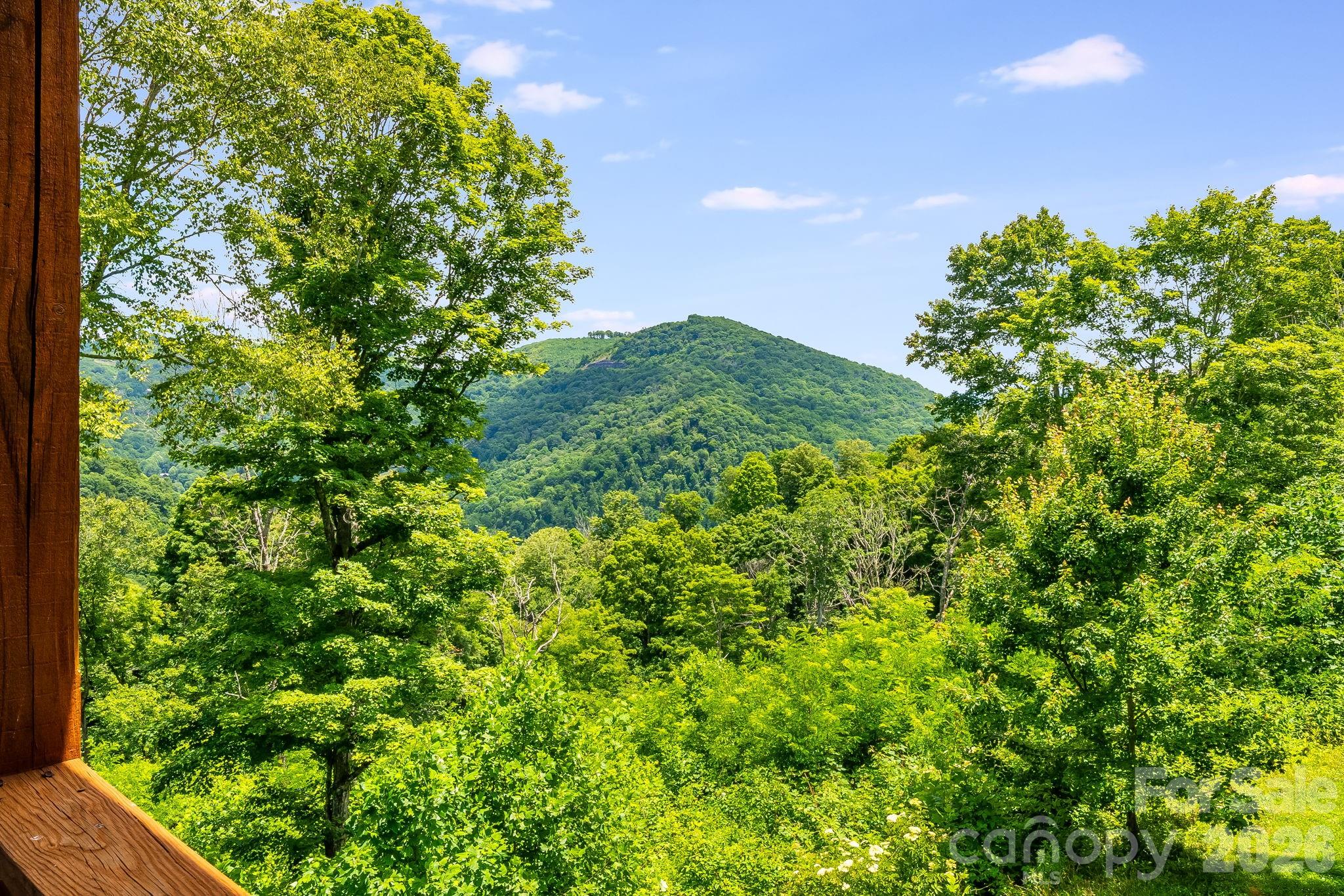 1185 Black Bear Drive — Mars Hill