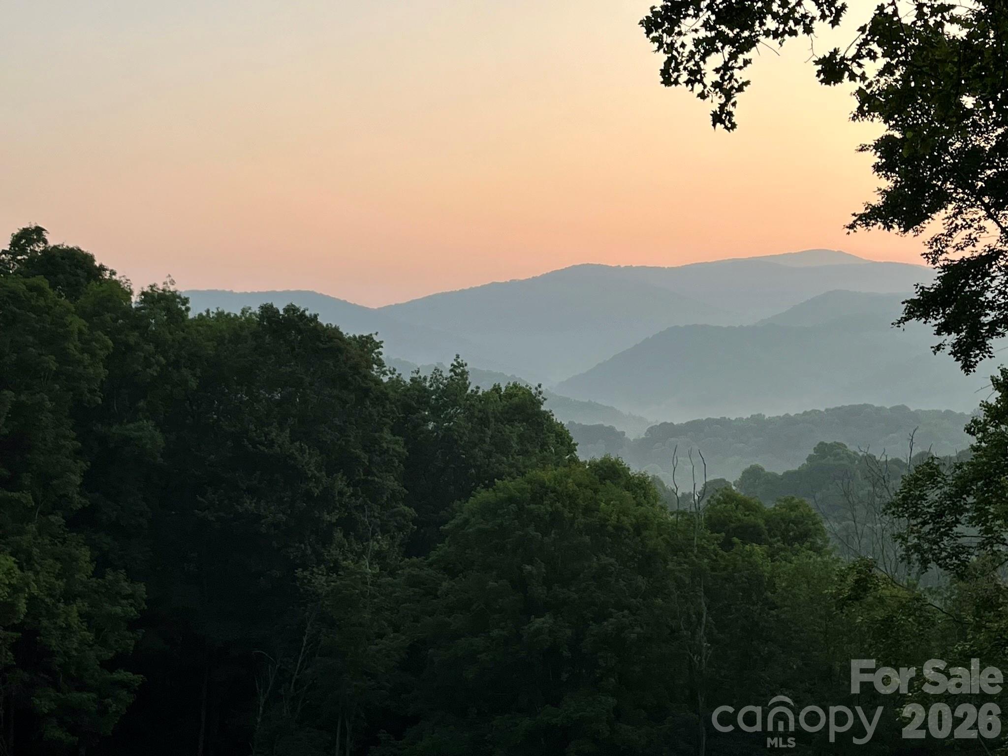 1185 Black Bear Drive — Mars Hill