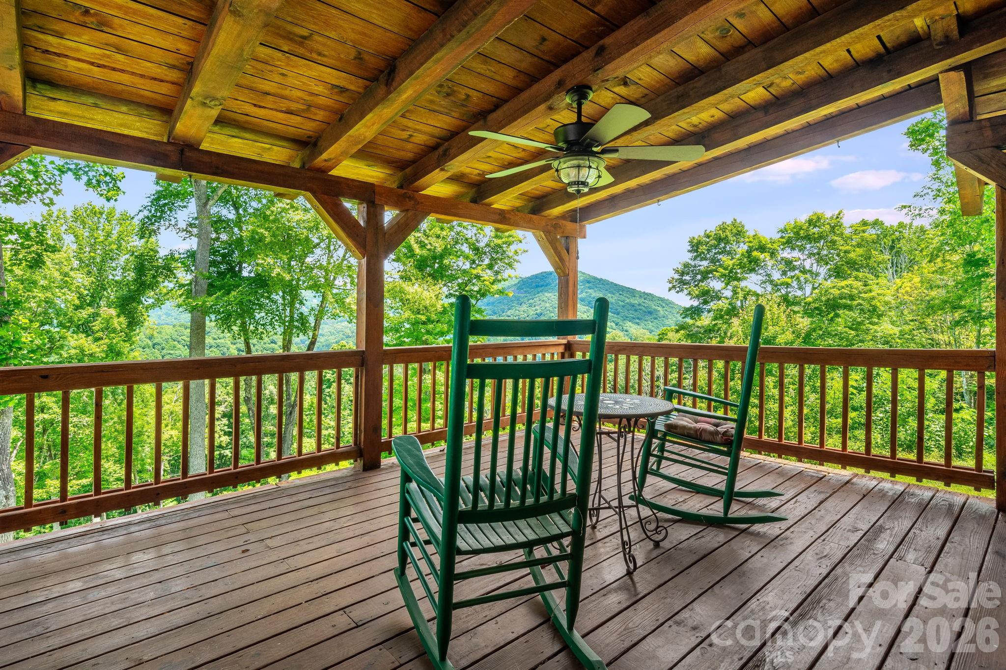 1185 Black Bear Drive — Mars Hill