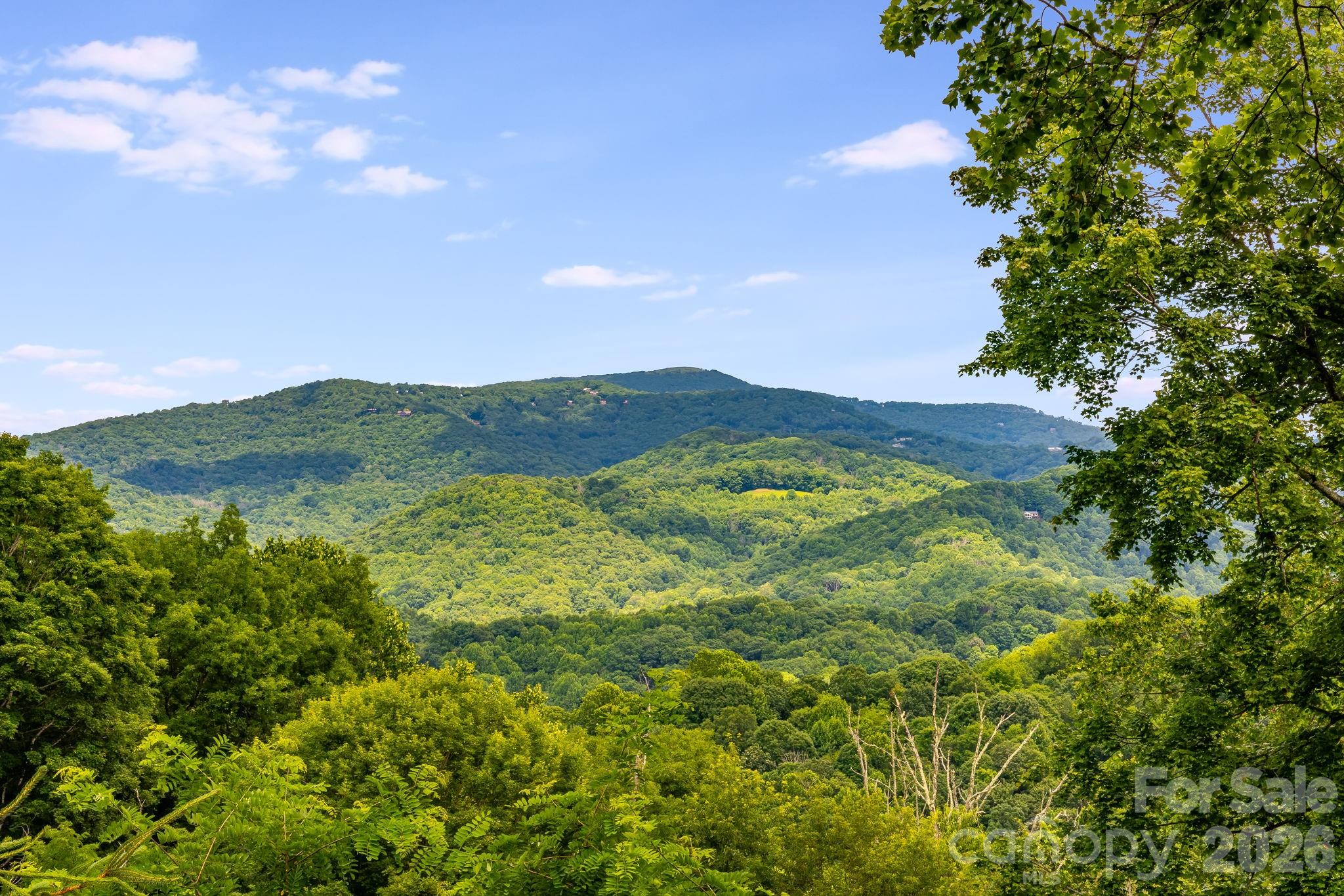 1185 Black Bear Drive — Mars Hill