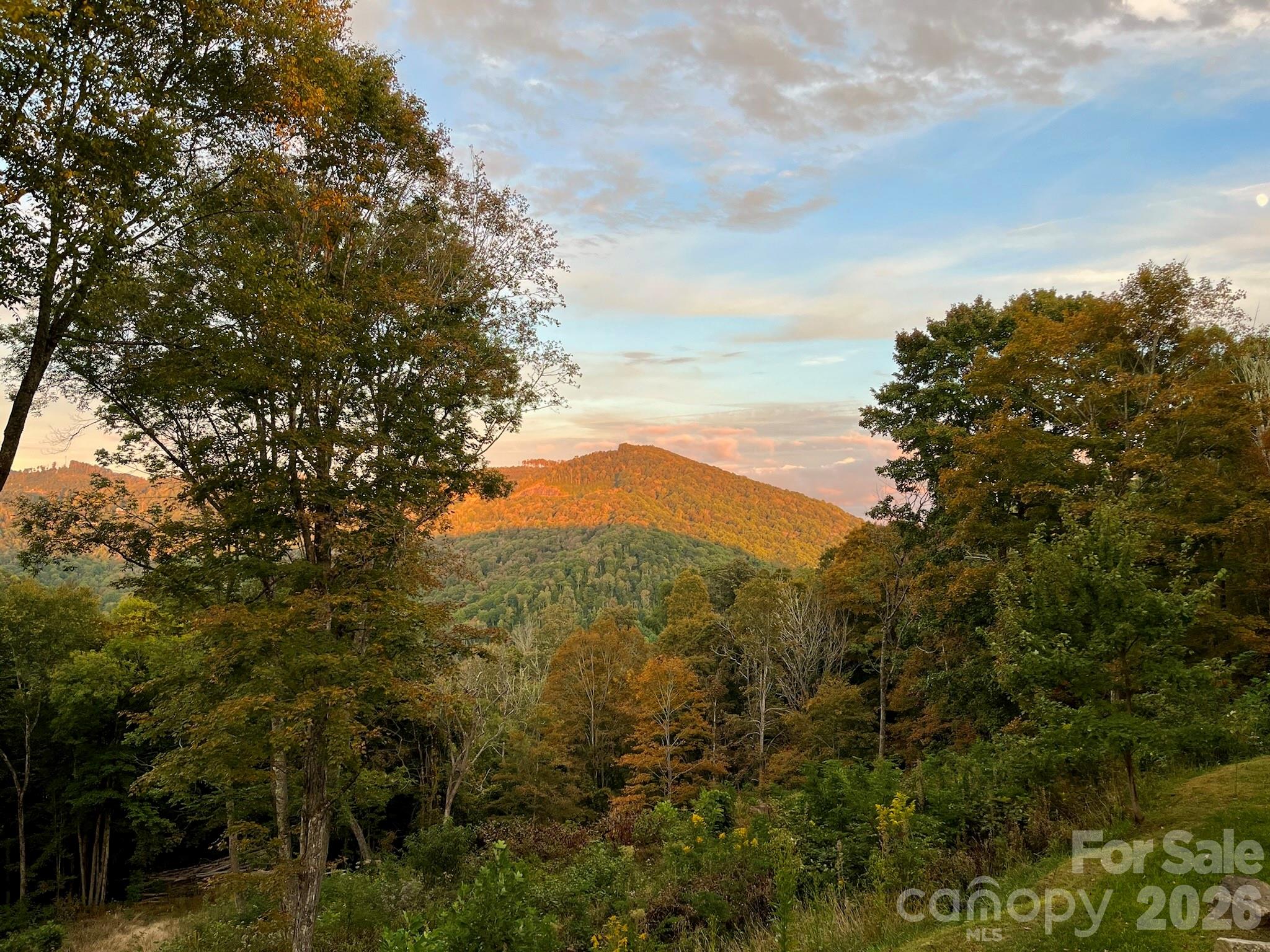 1185 Black Bear Drive — Mars Hill