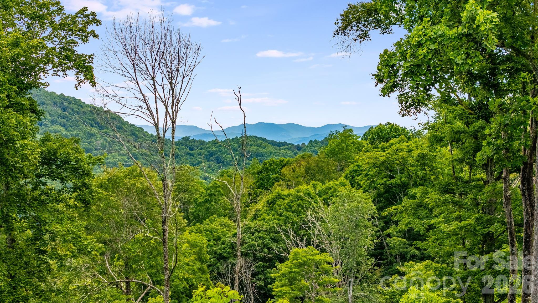 1185 Black Bear Drive — Mars Hill