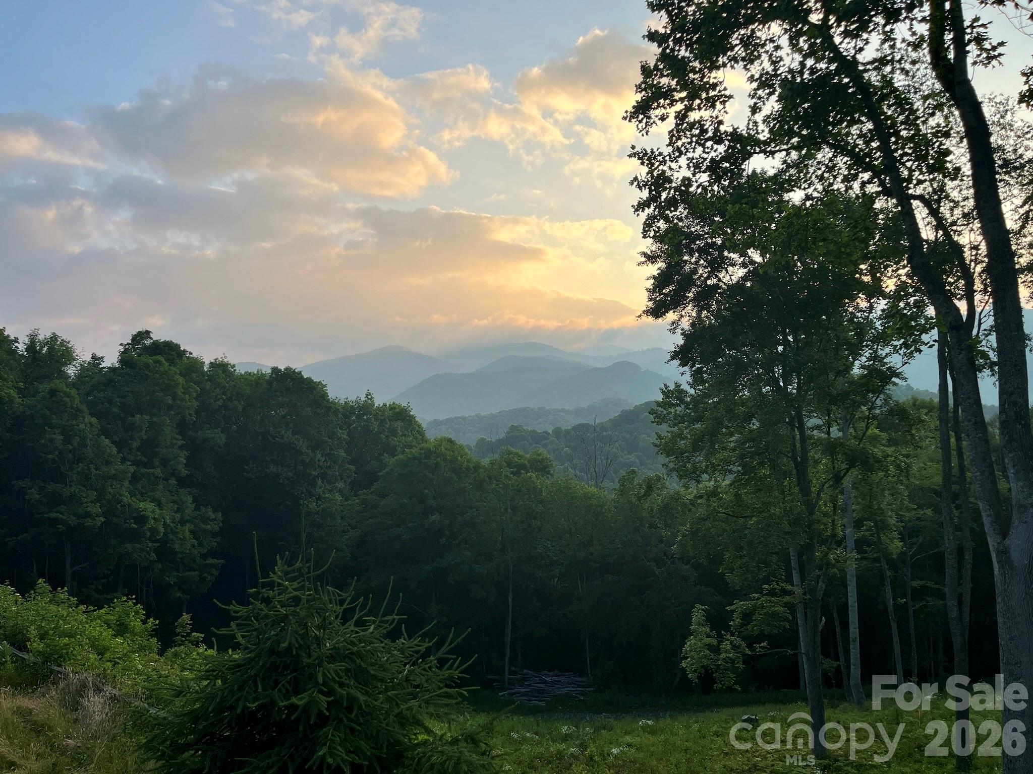 1185 Black Bear Drive — Mars Hill