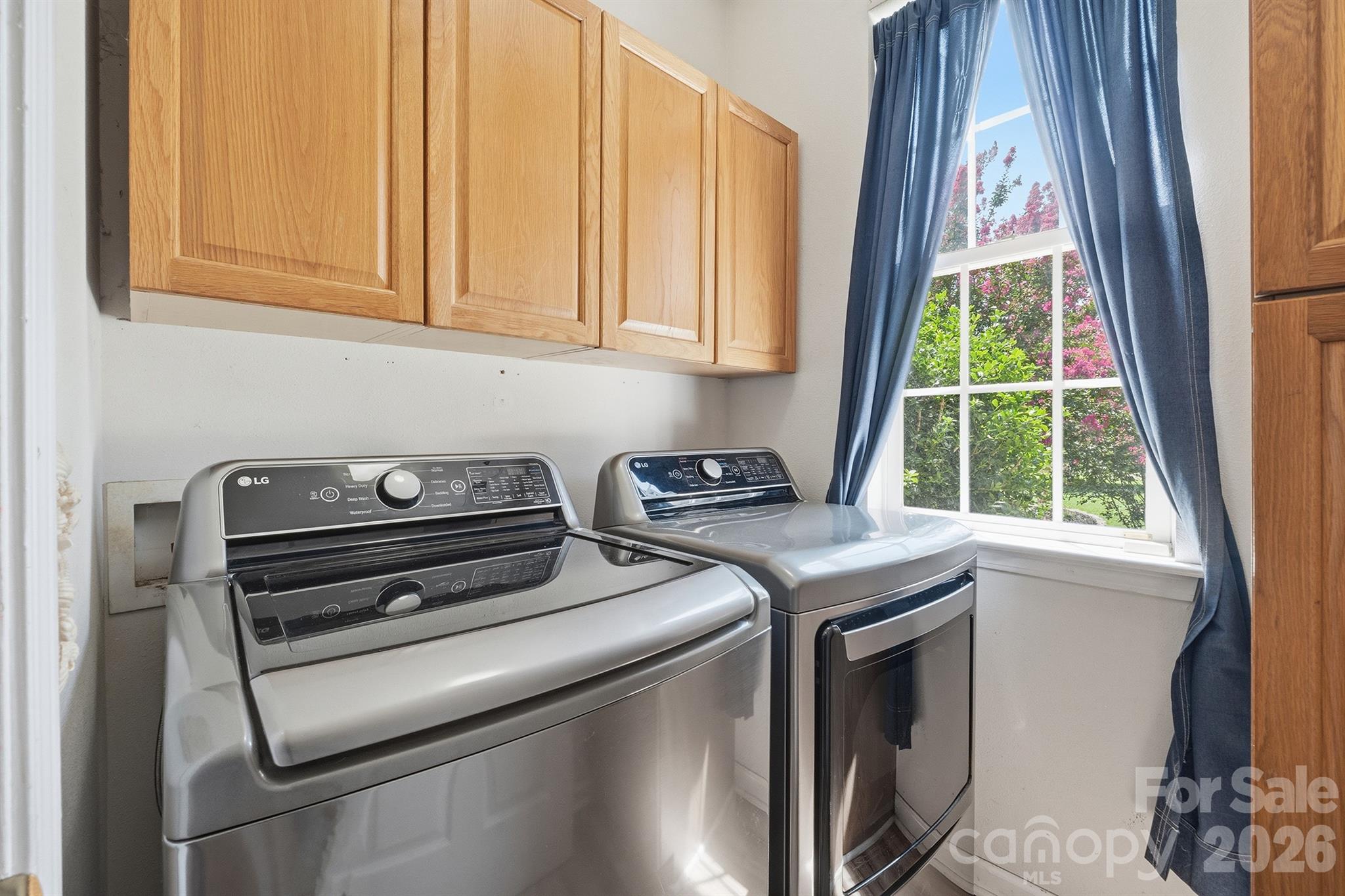 13316 Emerald Branch Lane — Charlotte