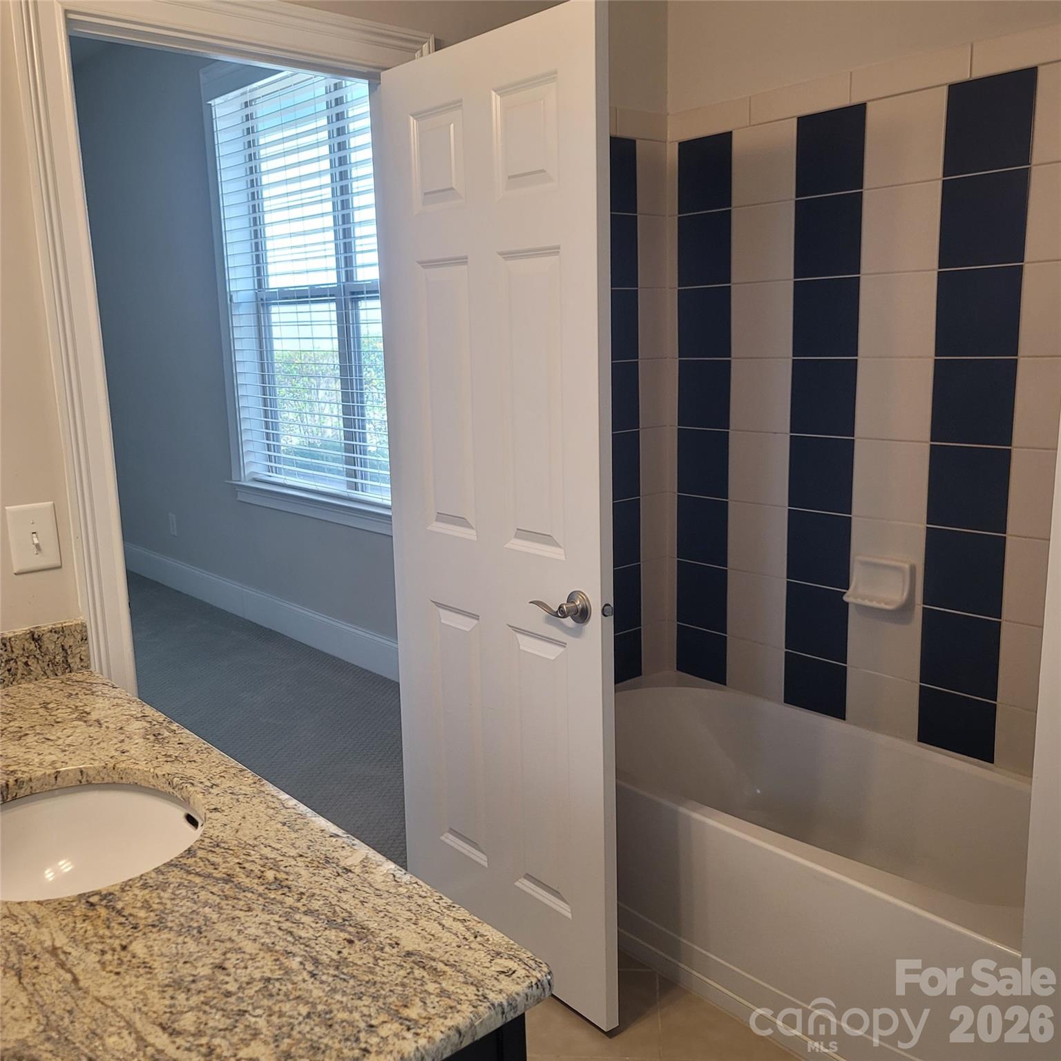 14920 High Bluff Court — Charlotte
