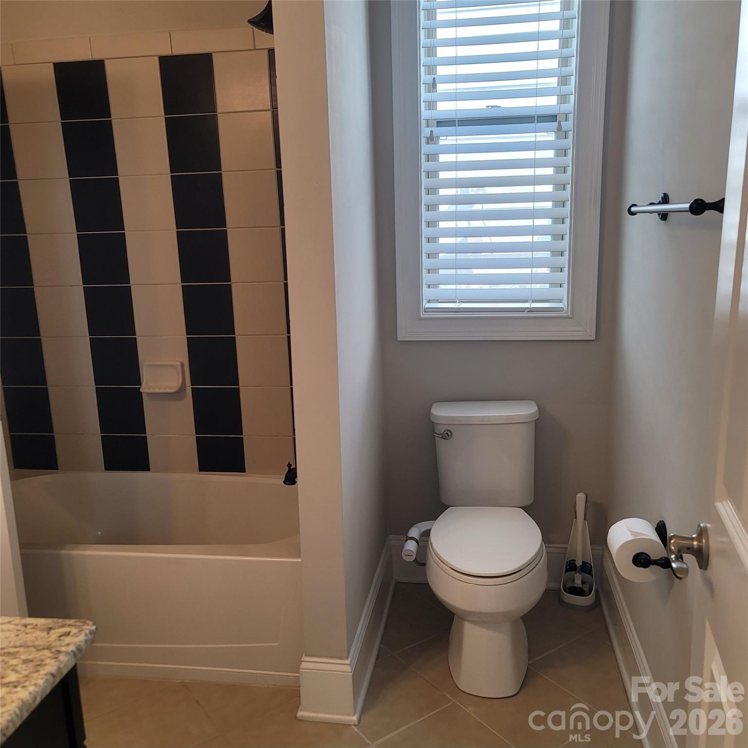 14920 High Bluff Court — Charlotte