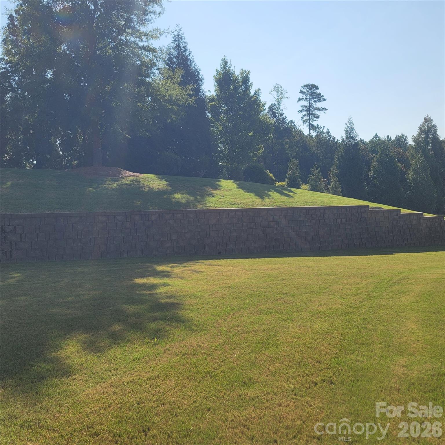 14920 High Bluff Court — Charlotte