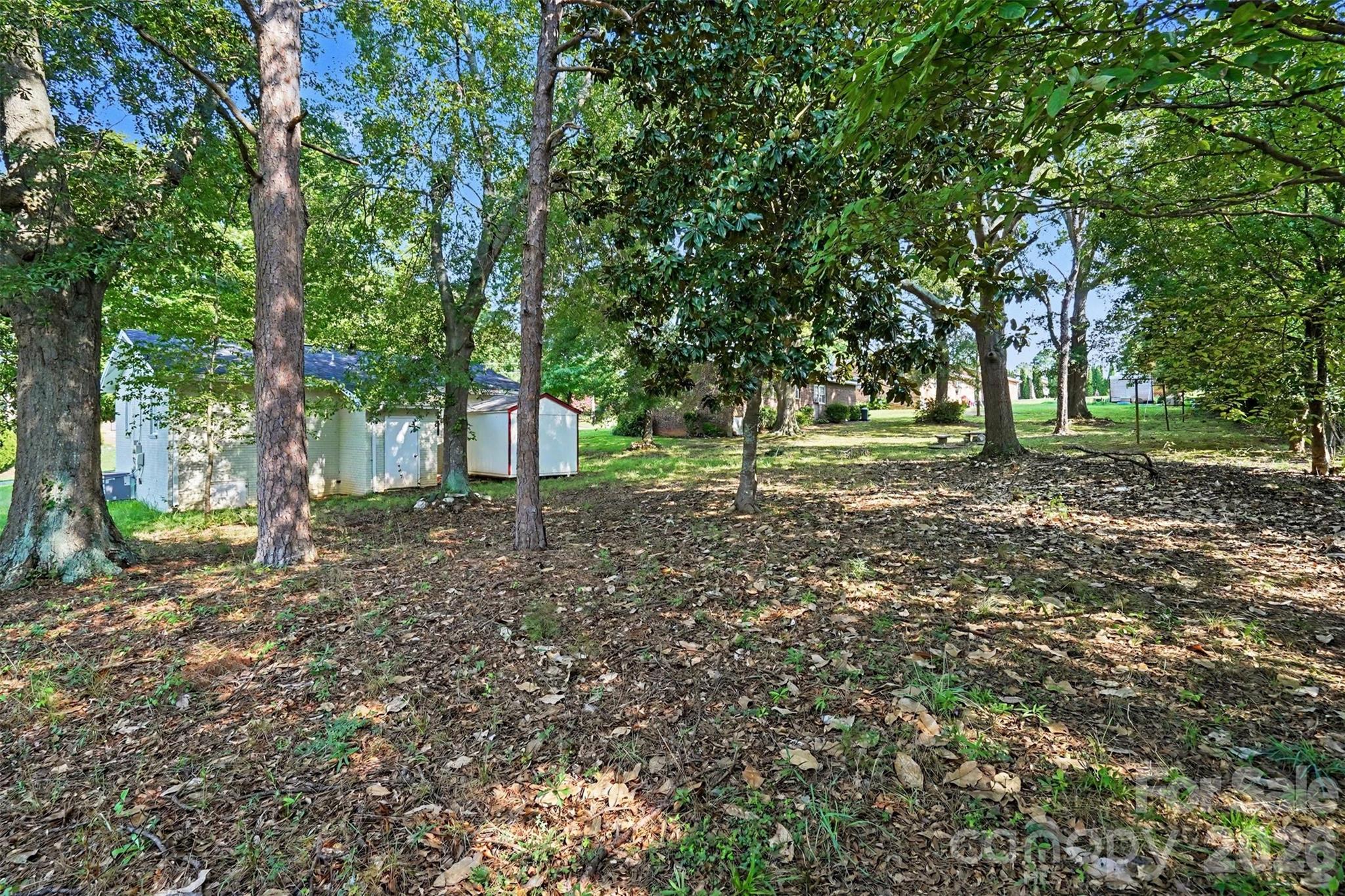 1328 Newton Street — Shelby