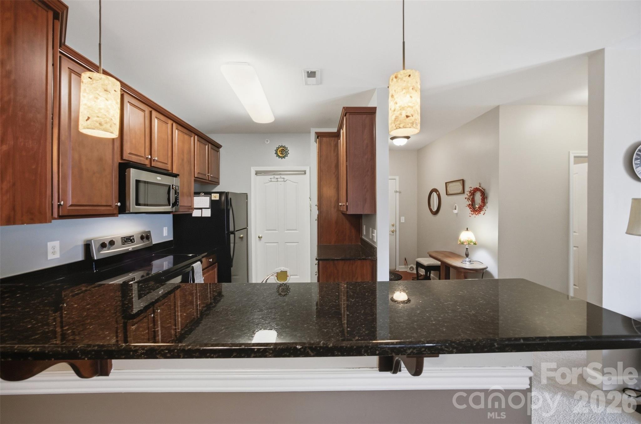 9113 Mcdowell Creek Court #9113 — Cornelius