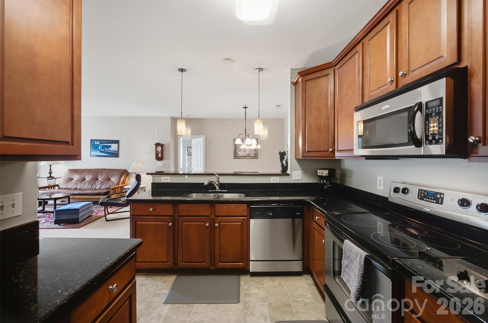 9113 Mcdowell Creek Court #9113 — Cornelius