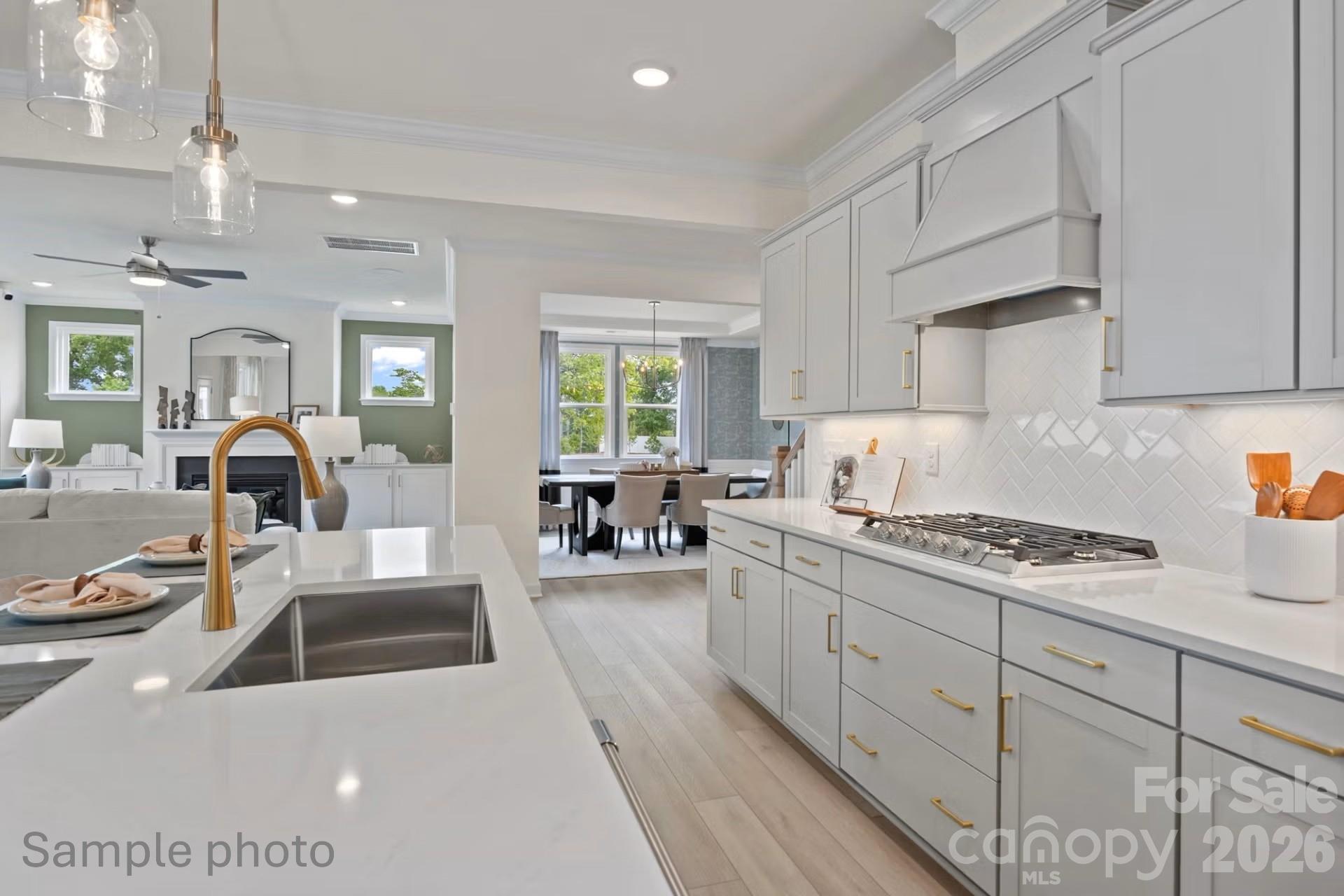 2941 audubon Ridge #28 — Belmont