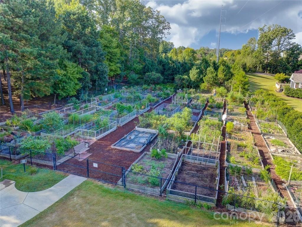 2059 Moultrie Court — Fort Mill
