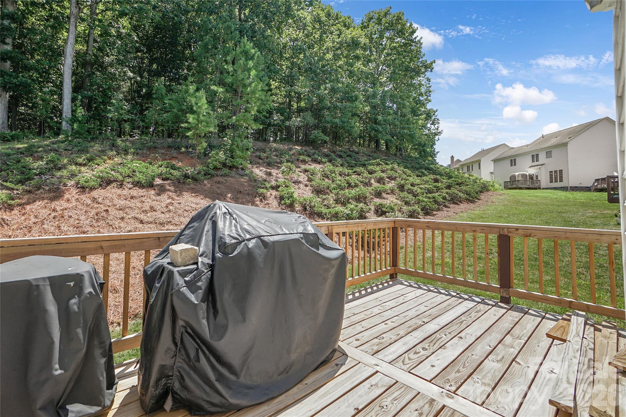 10706 Hellebore Road — Charlotte