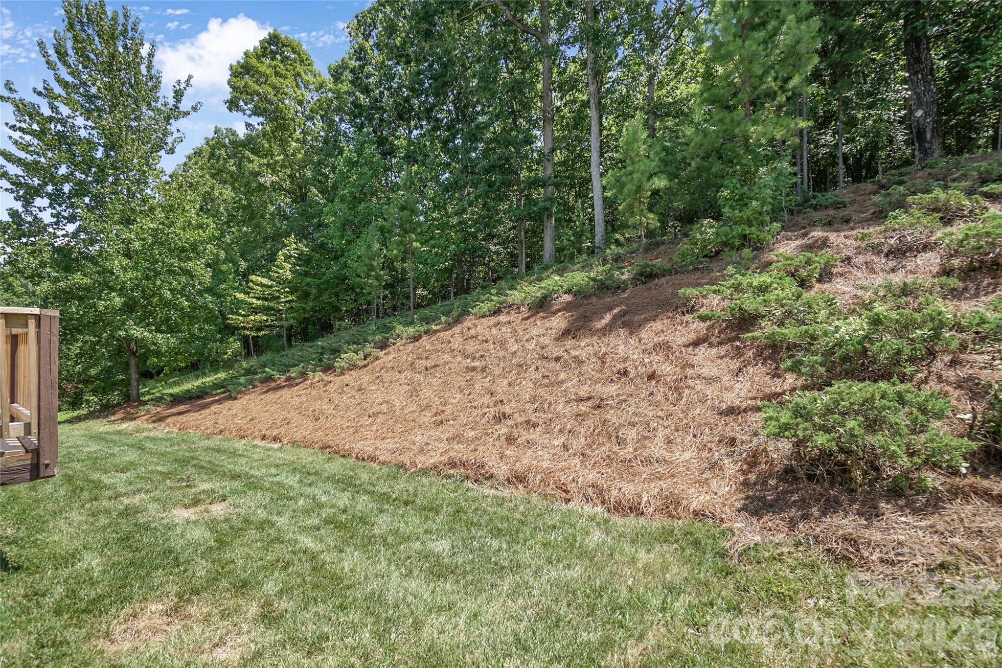 10706 Hellebore Road — Charlotte