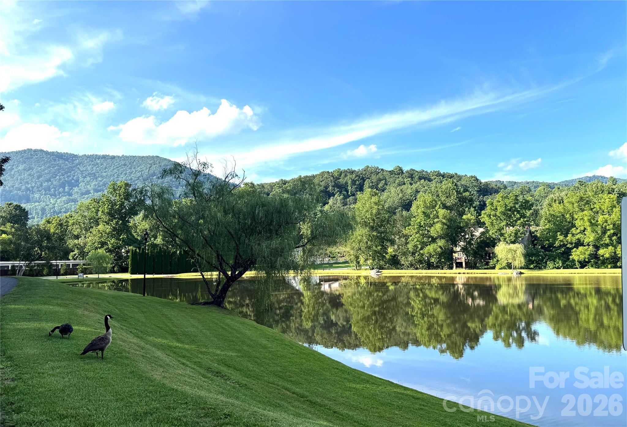 8 Lakeview Drive — Fairview