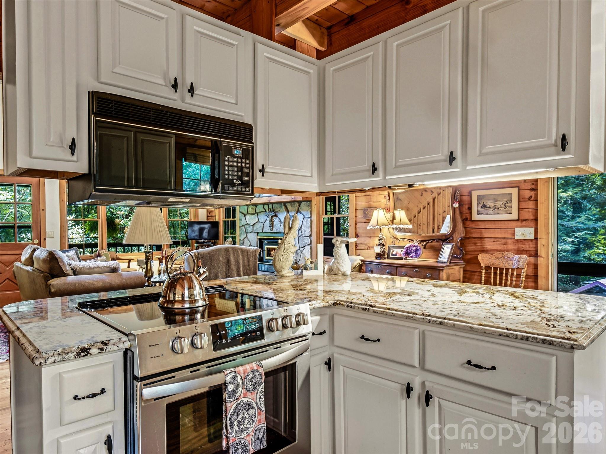 696 Top Of The Mountain Road — Hendersonville