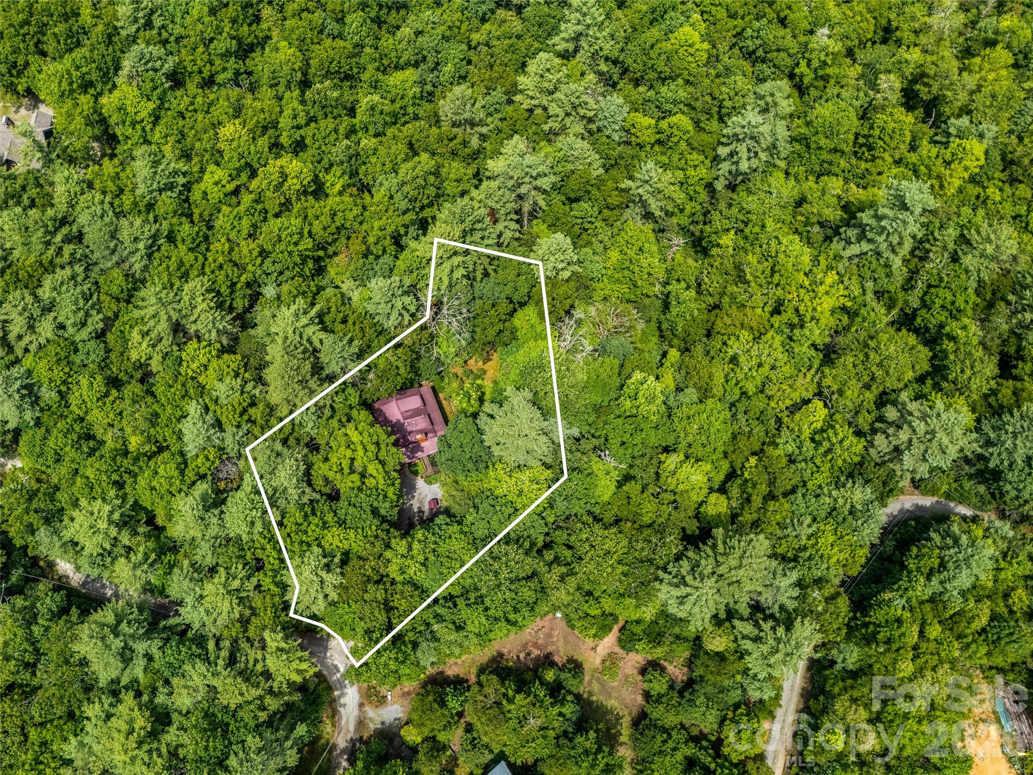 696 Top Of The Mountain Road — Hendersonville
