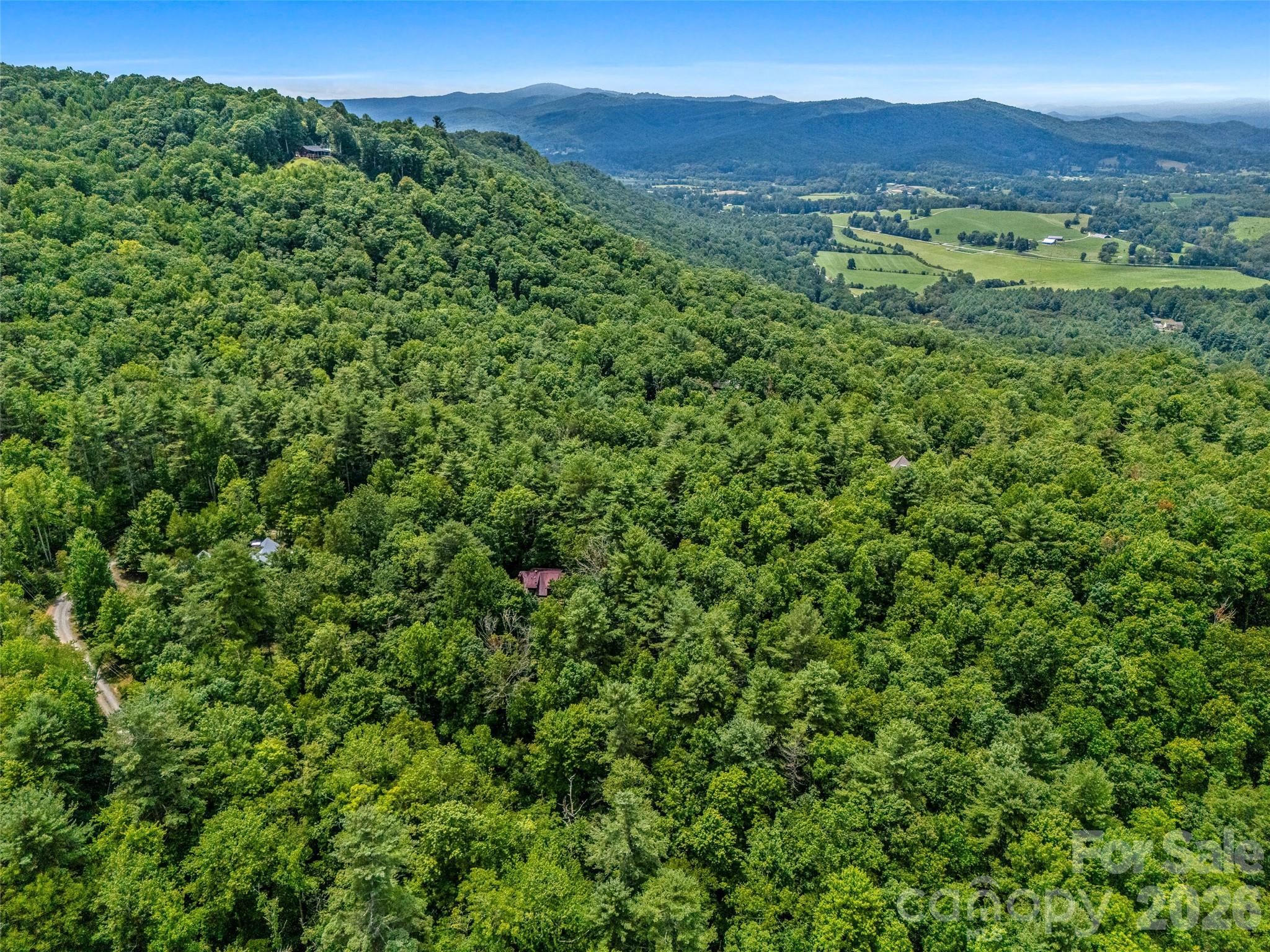 696 Top Of The Mountain Road — Hendersonville