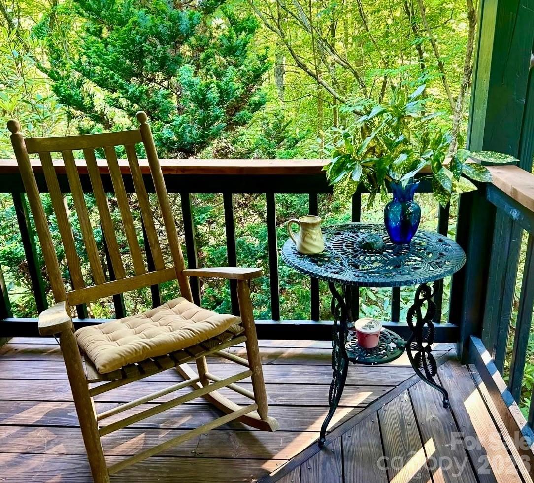 696 Top Of The Mountain Road — Hendersonville