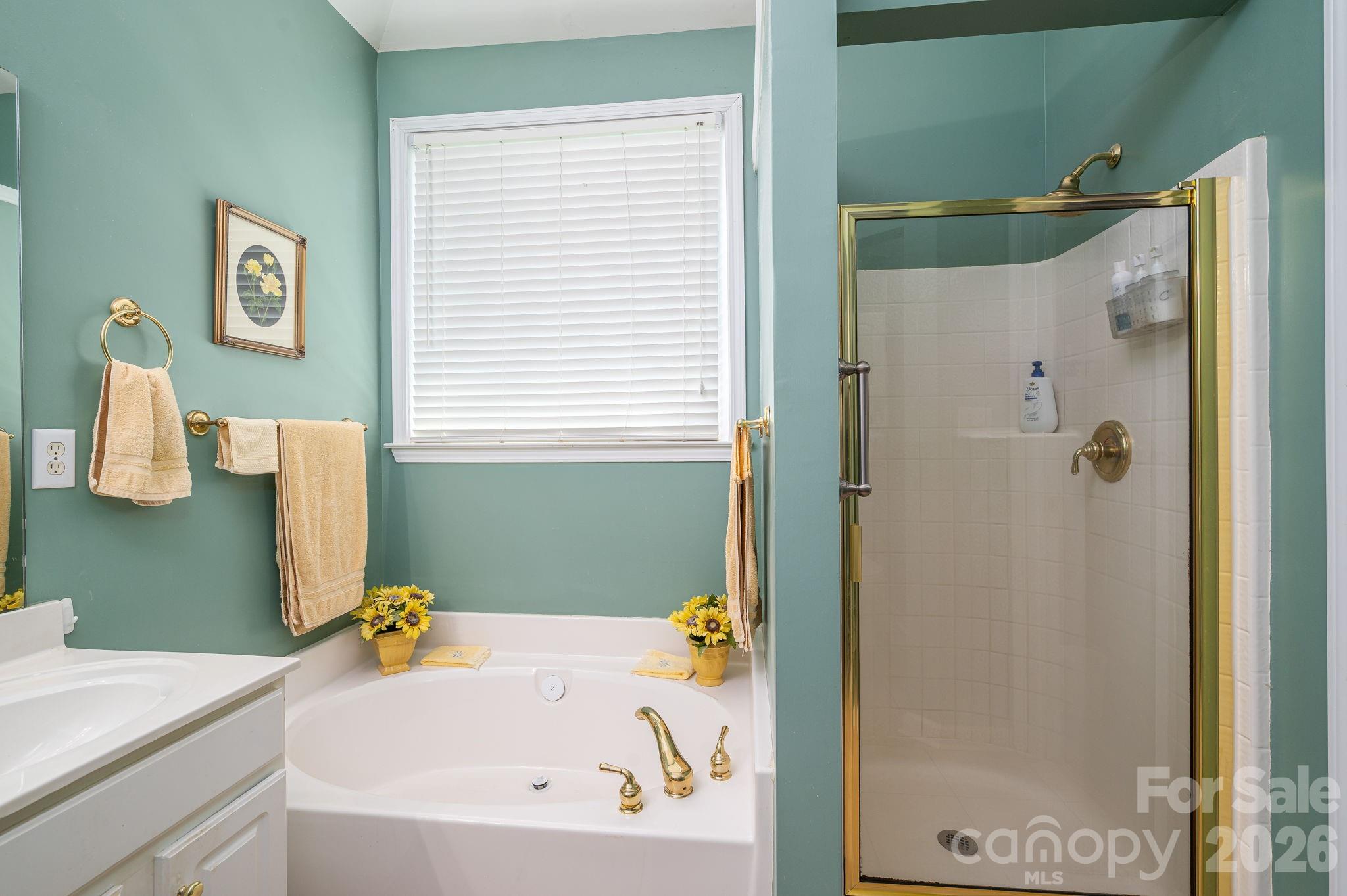 11132 Chastain Parc Drive — Charlotte