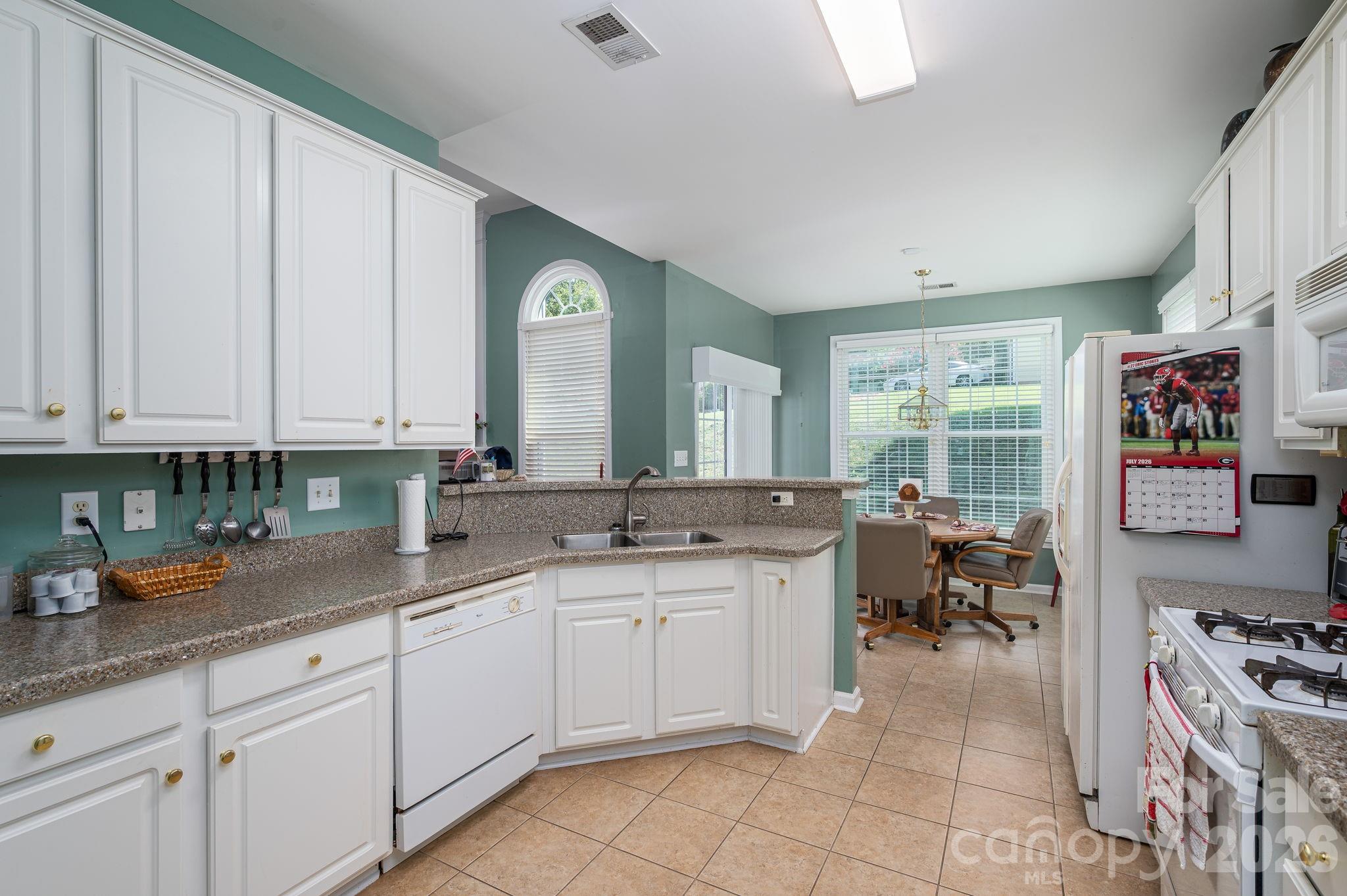 11132 Chastain Parc Drive — Charlotte