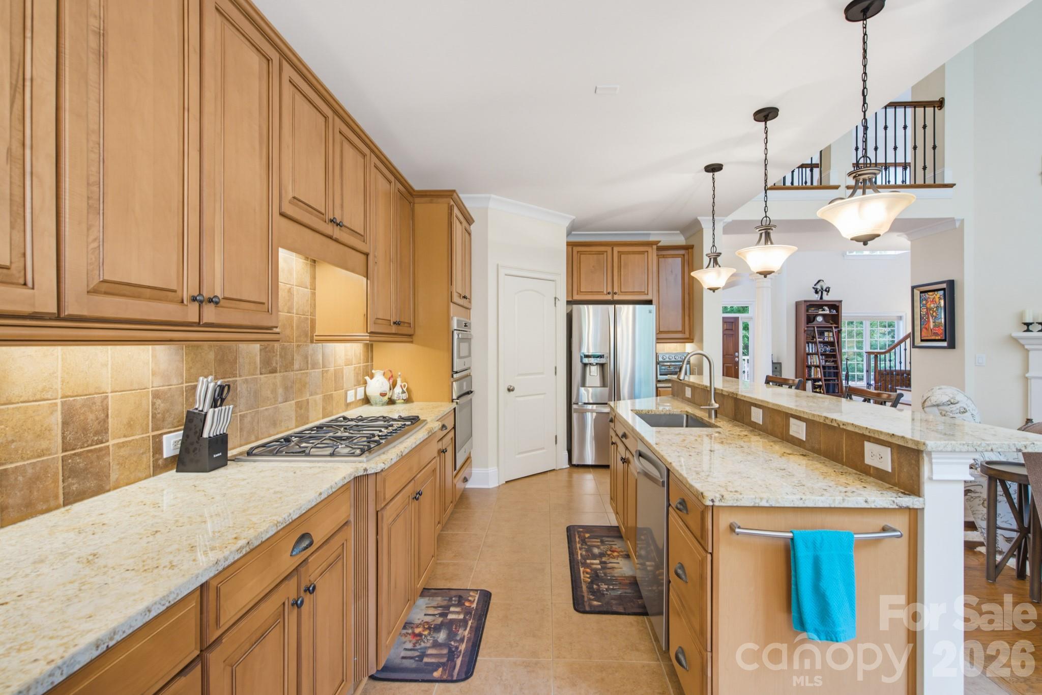 16506 Doves Canyon Lane — Charlotte