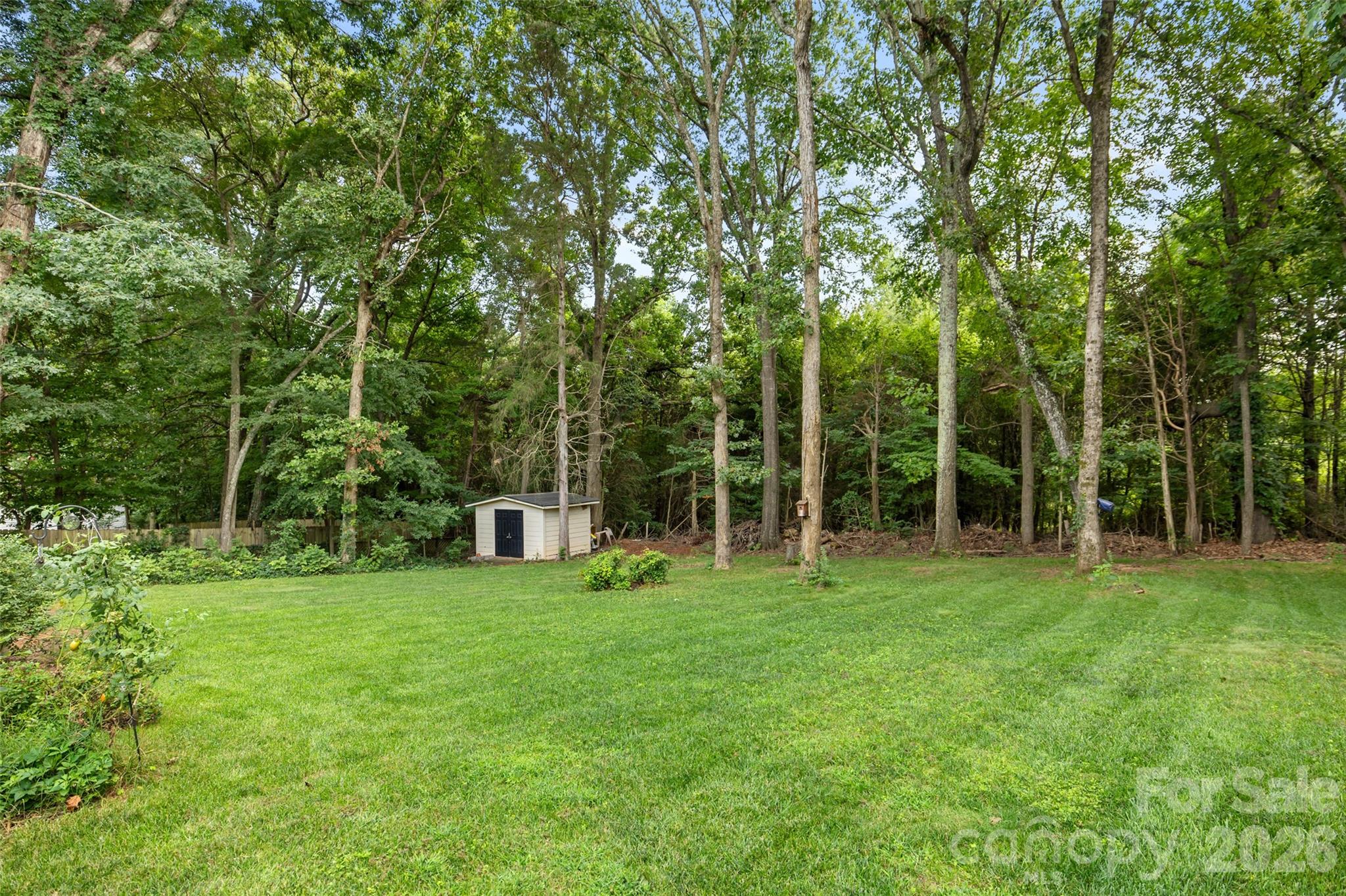 13110 Graymist Drive — Charlotte