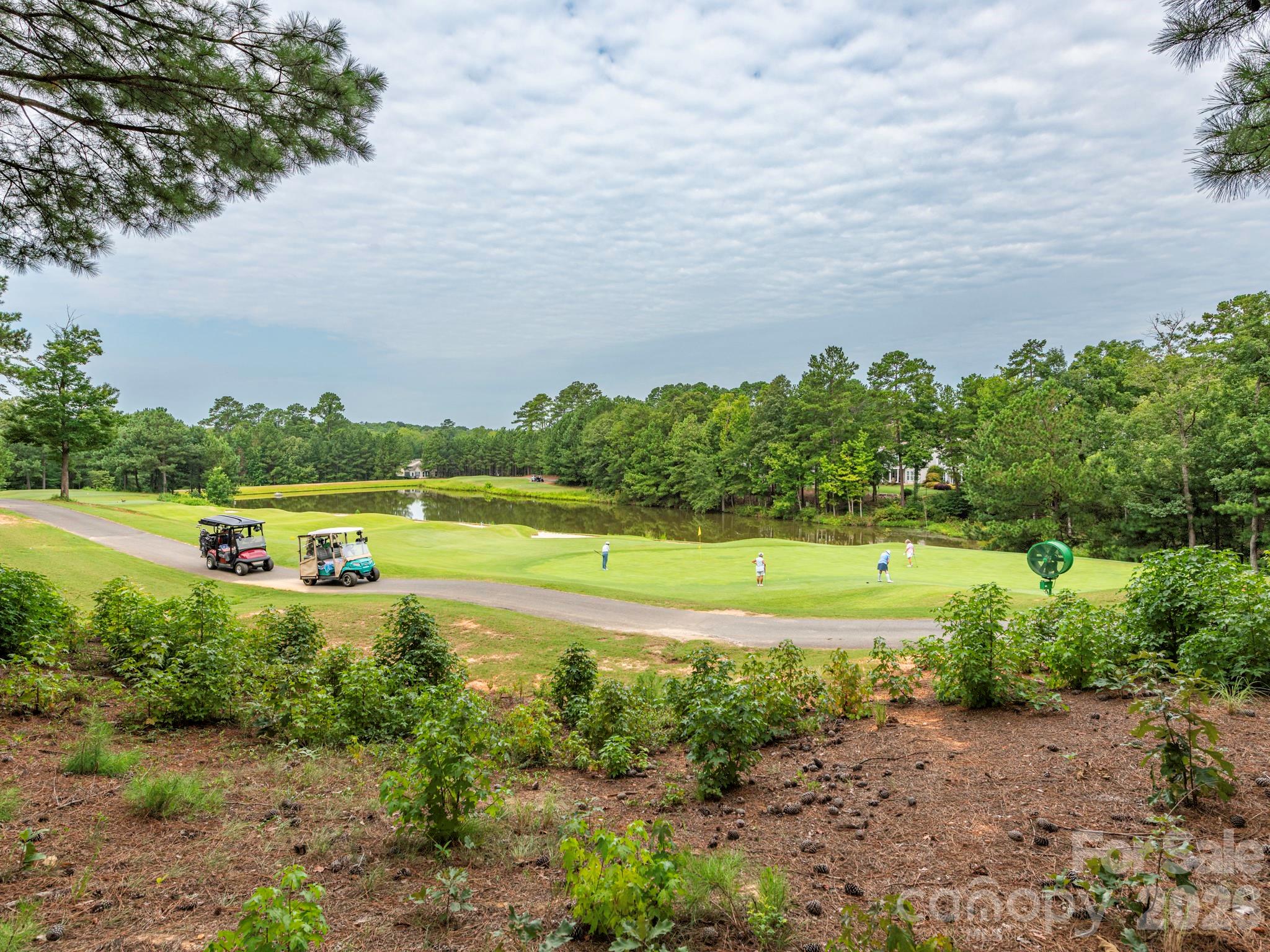 49108 Gladiolus Street — Fort Mill