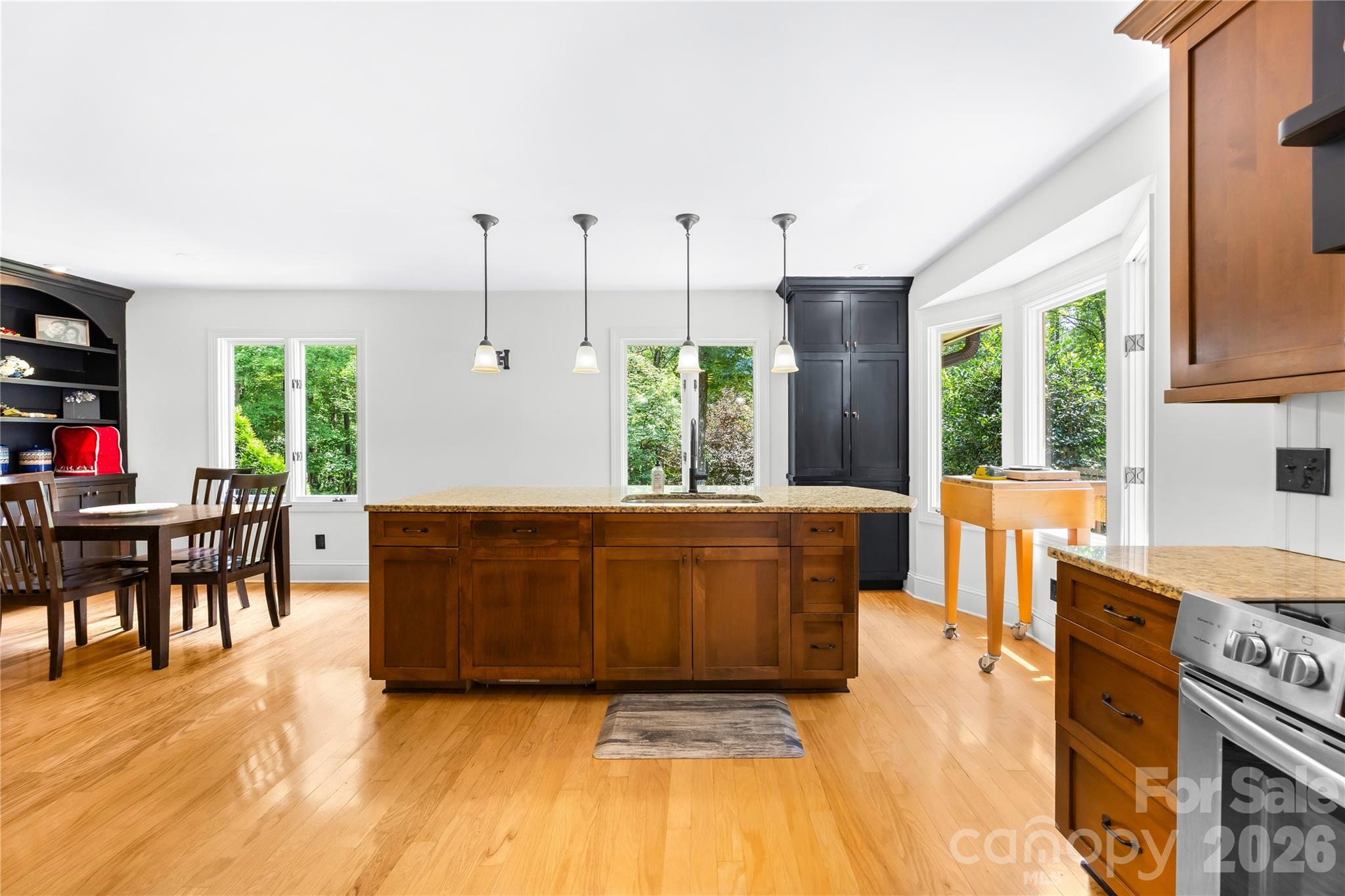 3406 Red Fox Trail — Matthews
