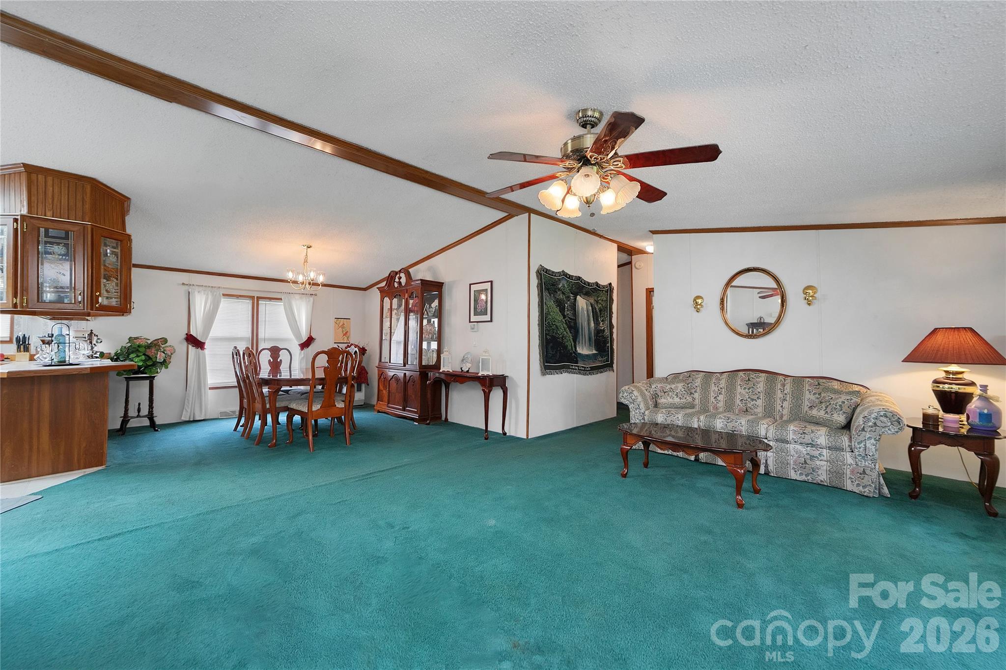 15 Windy Canyon Road — Candler