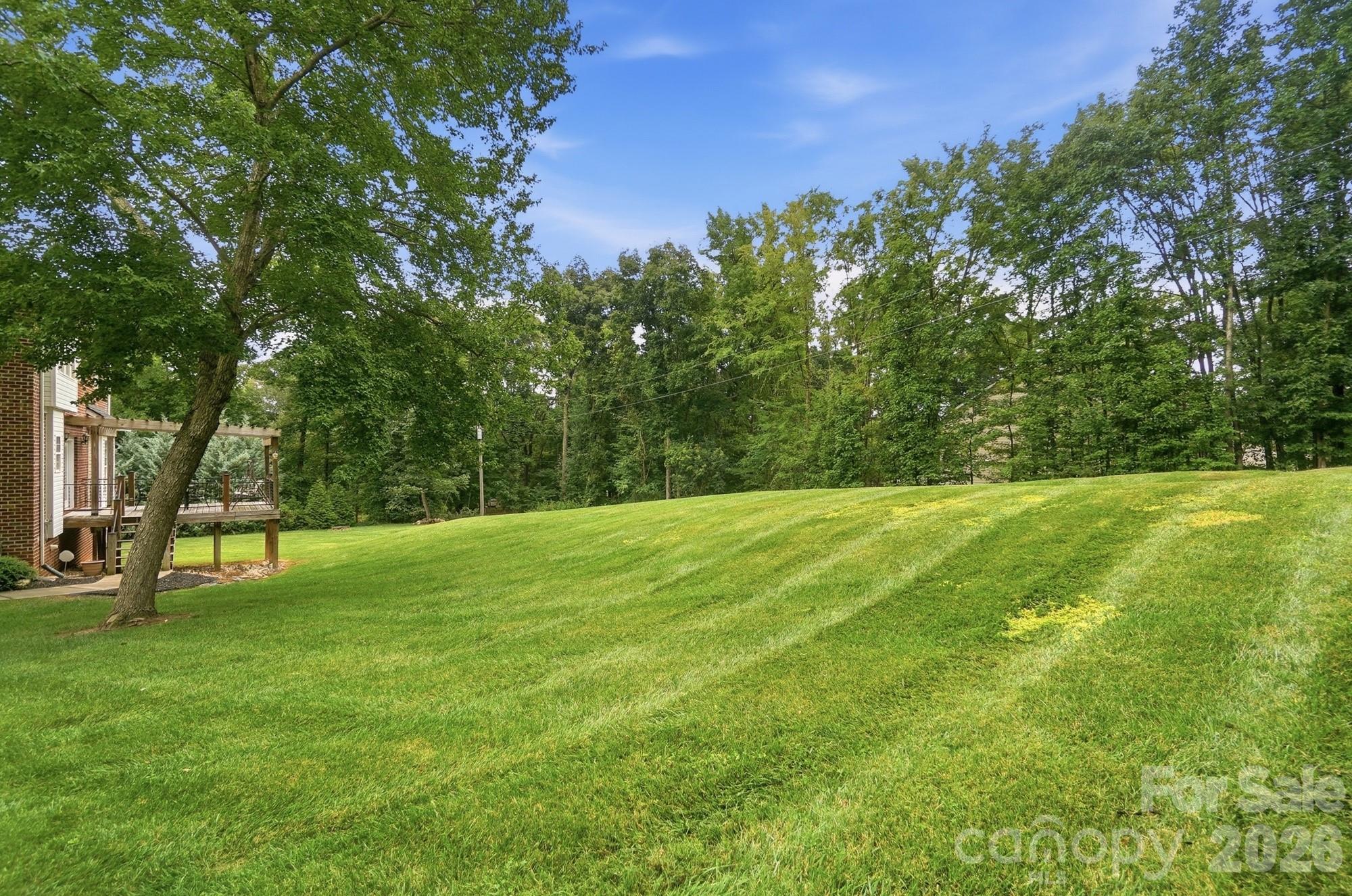 5616 Polk Mountain Drive — Marshville