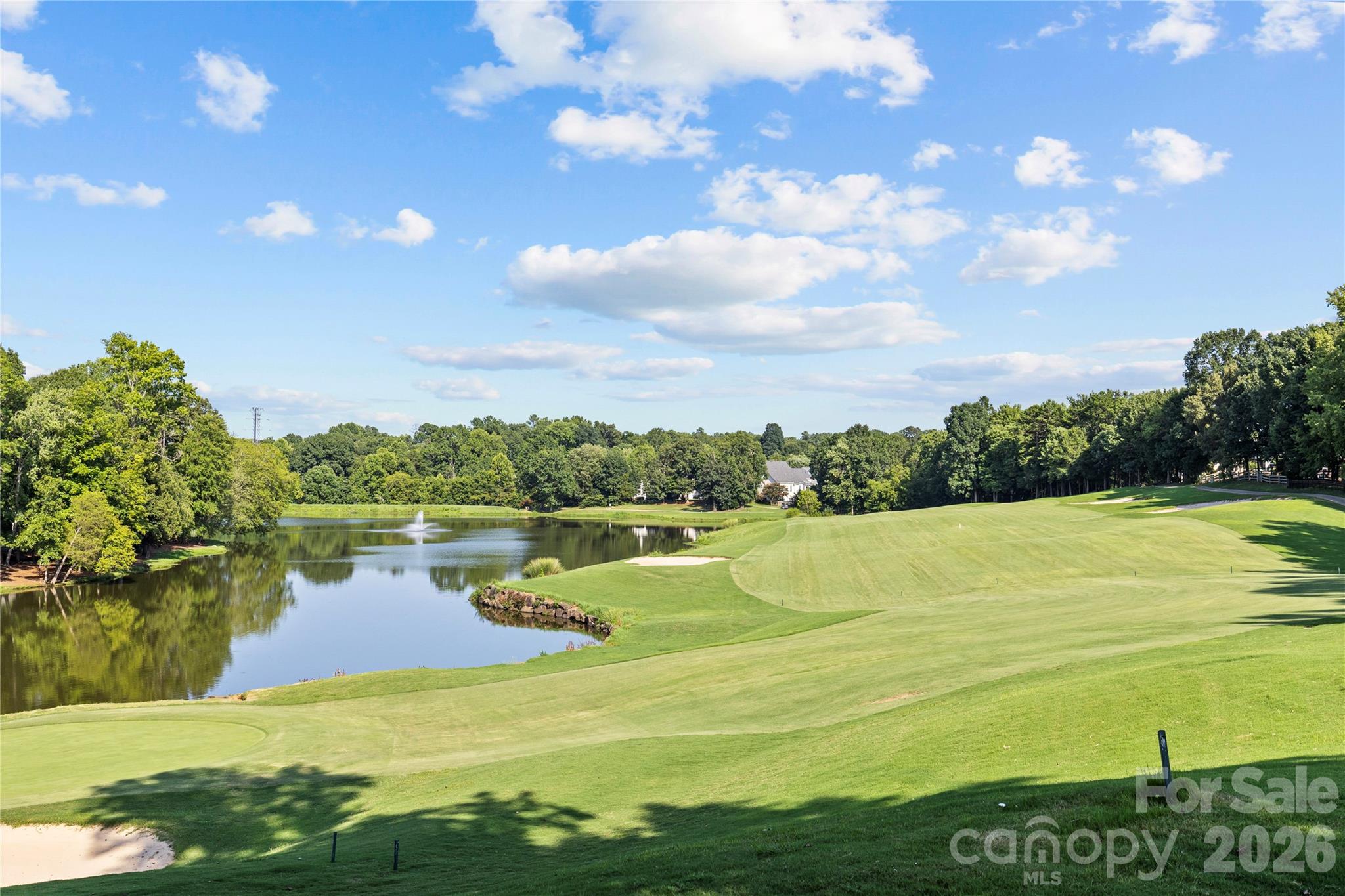 4519 Crownvista Drive — Charlotte