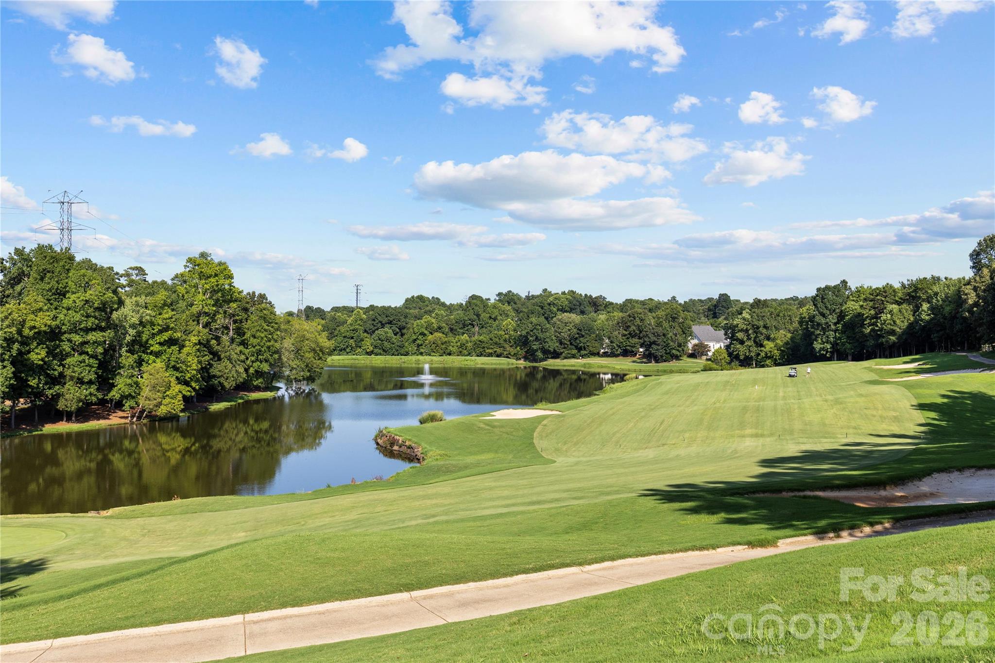 4519 Crownvista Drive — Charlotte