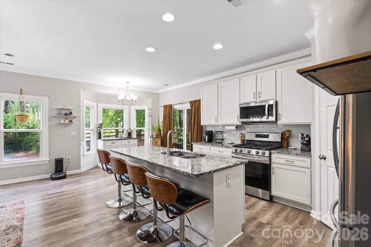 4519 Crownvista Drive — Charlotte