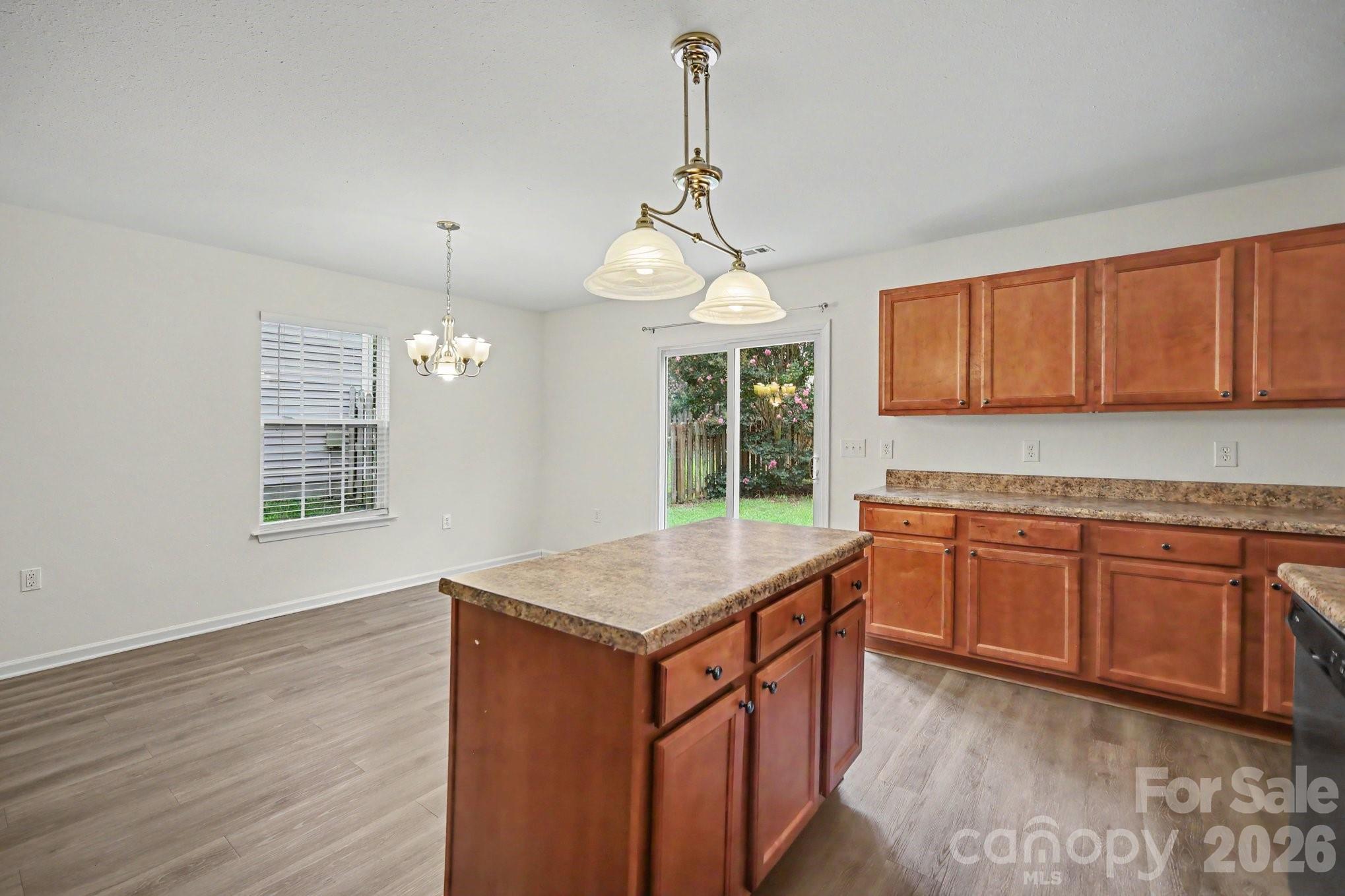 13827 Allison Forest Trail — Charlotte