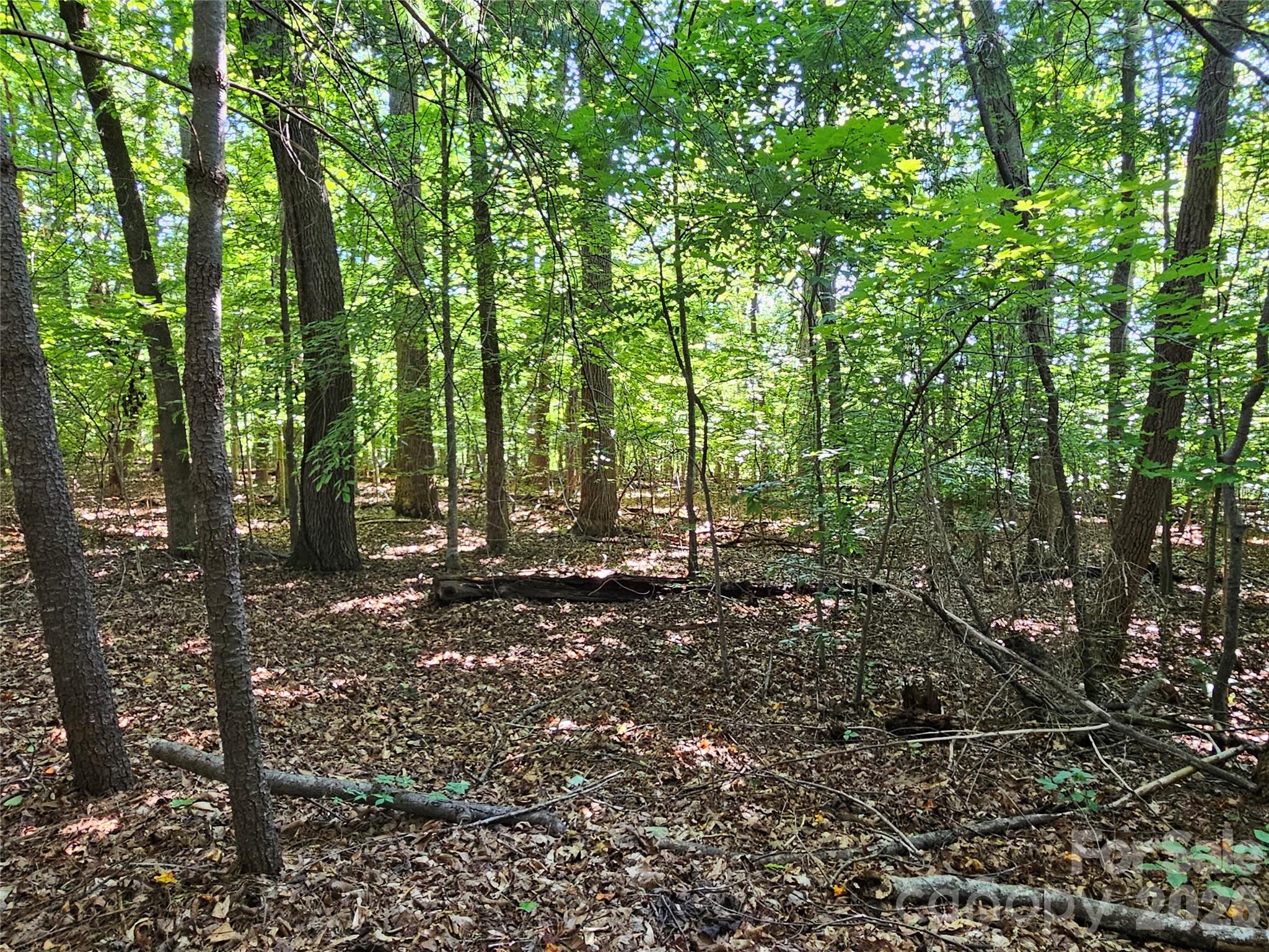 5086 Burkemont Road — Morganton