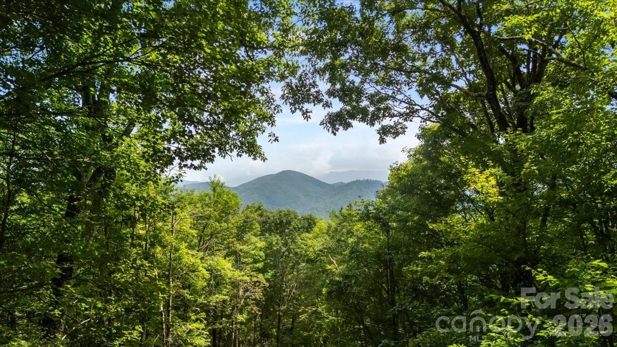 67 Birch Springs Lane #218 — Mars Hill