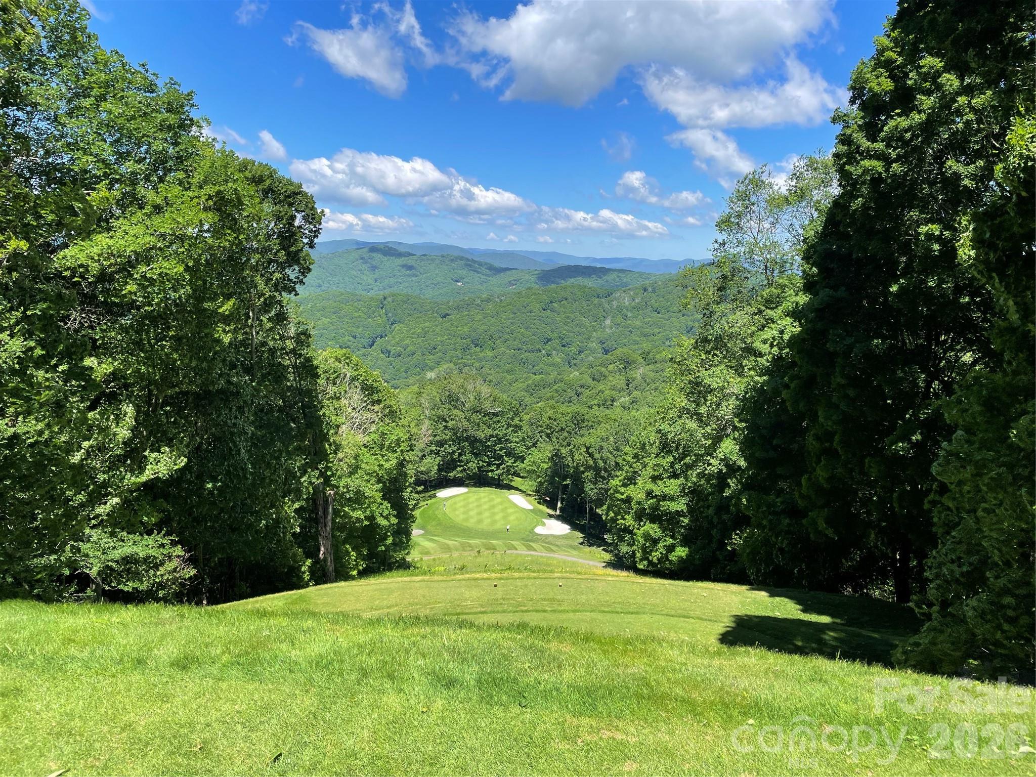 67 Birch Springs Lane #218 — Mars Hill