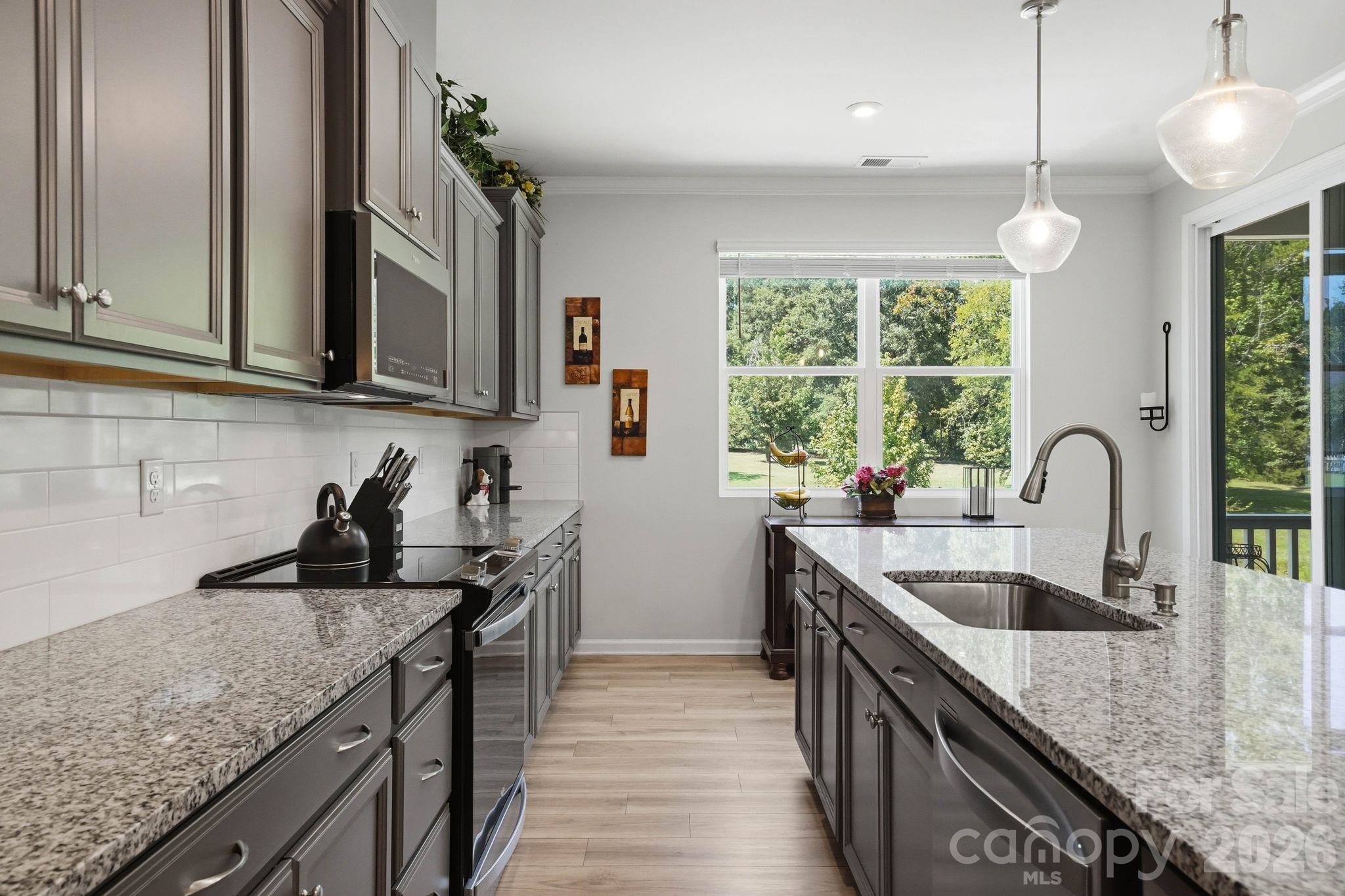 16705 Summers Walk Boulevard — Davidson