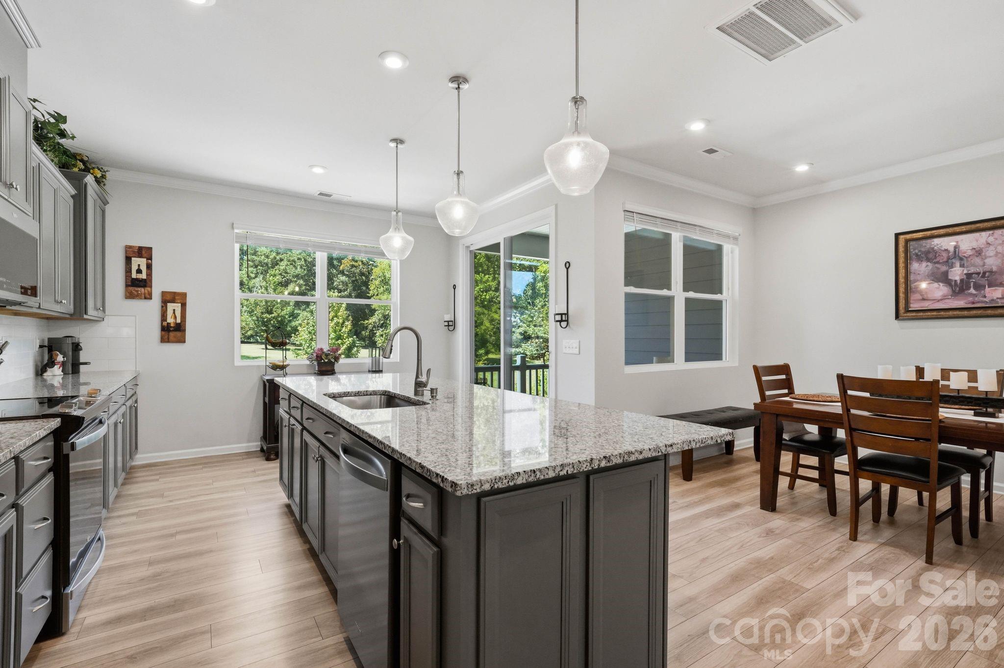 16705 Summers Walk Boulevard — Davidson