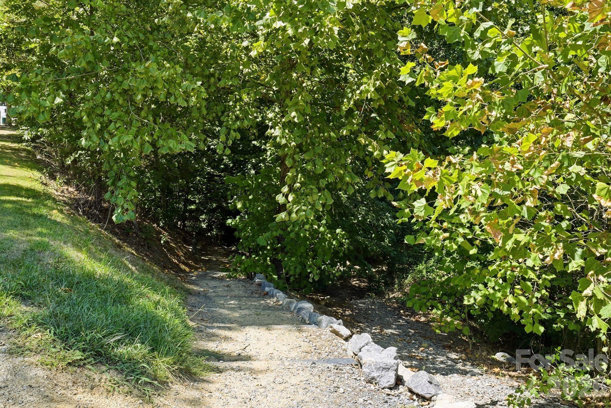16705 Summers Walk Boulevard — Davidson