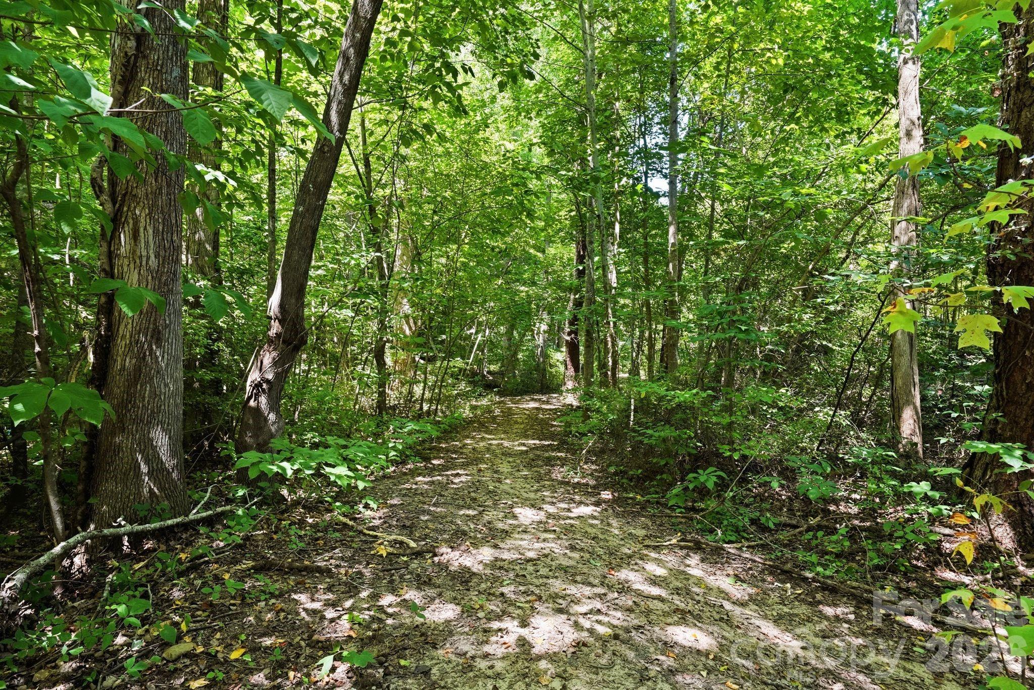 16705 Summers Walk Boulevard — Davidson