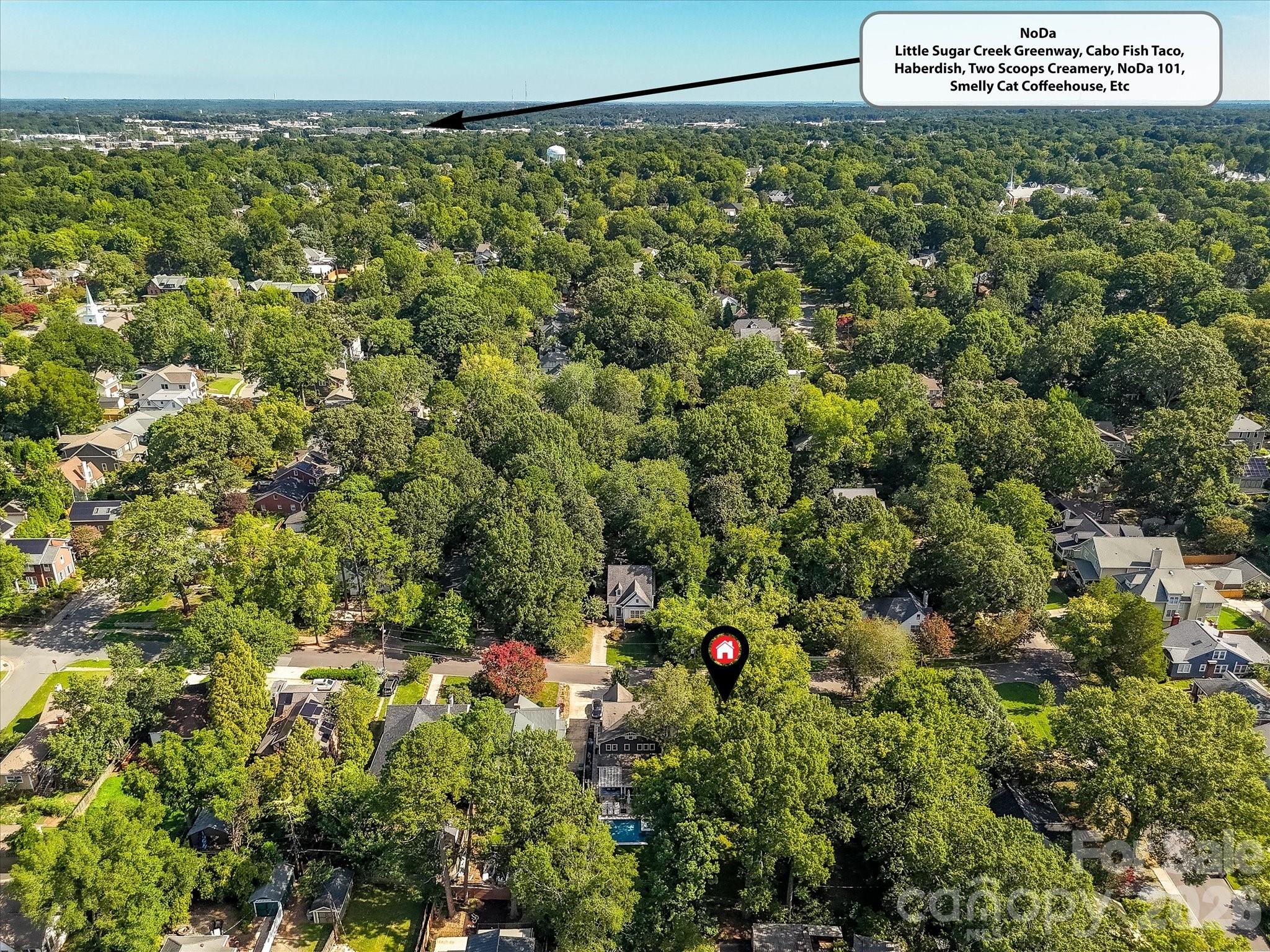 1824 Chestnut Avenue — Charlotte