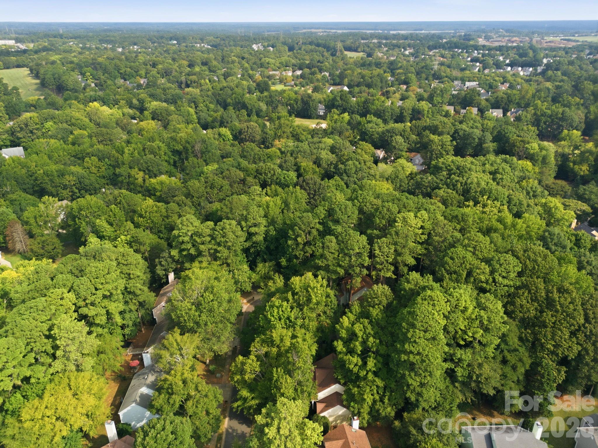 6004 Elm Cove Lane — Charlotte