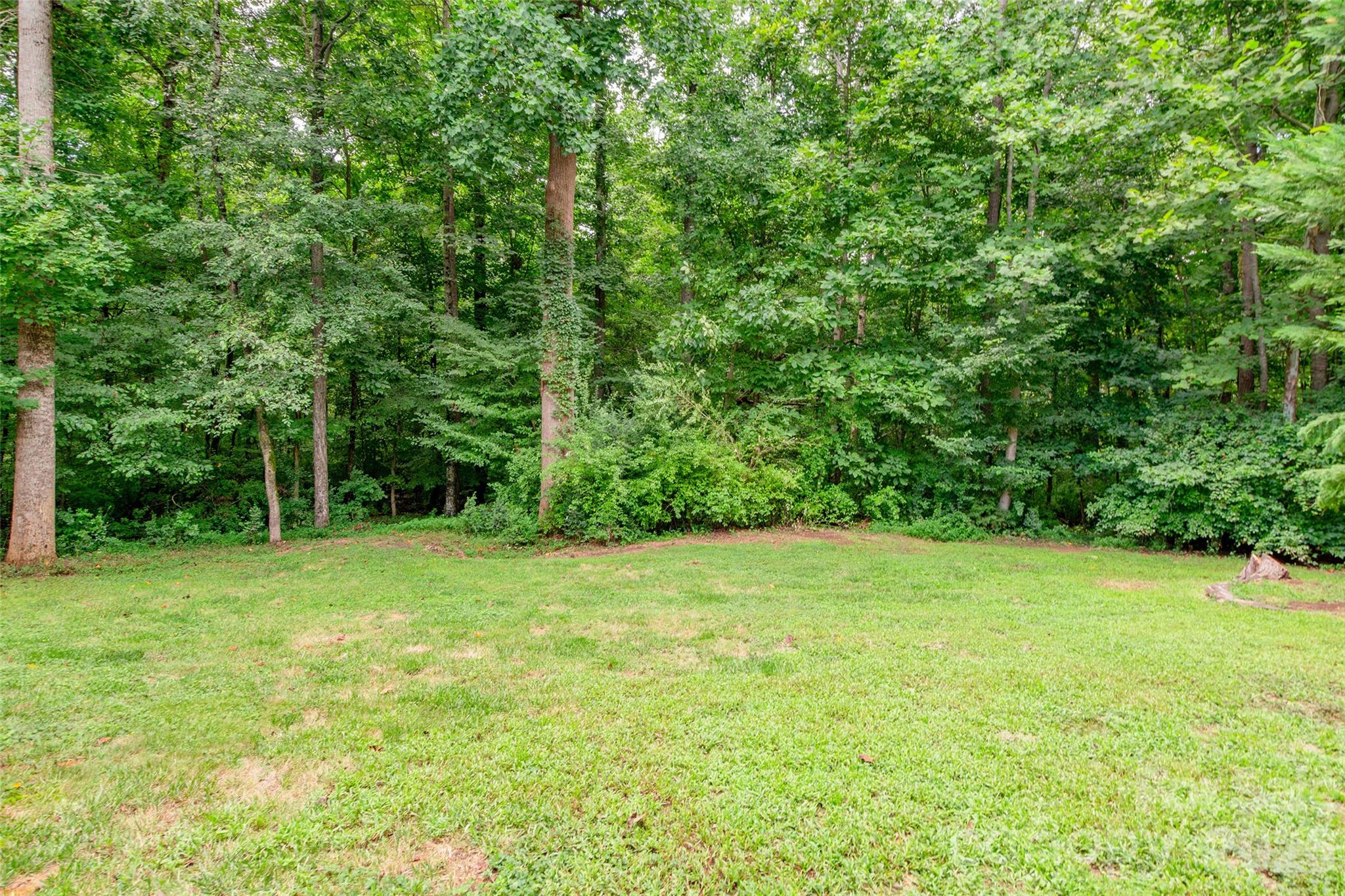 1079 Warpers Lane — Fort Mill