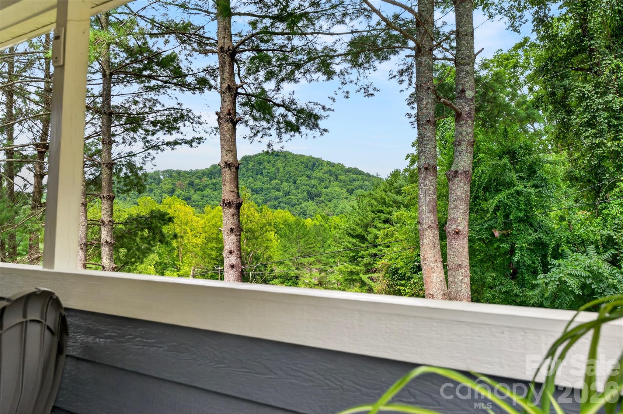 310 Magnolia Ridge Road — Swannanoa