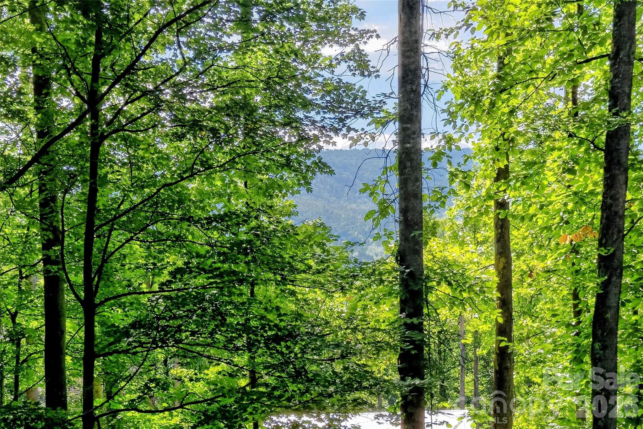 43 Clinchfield Gap Road — Marion