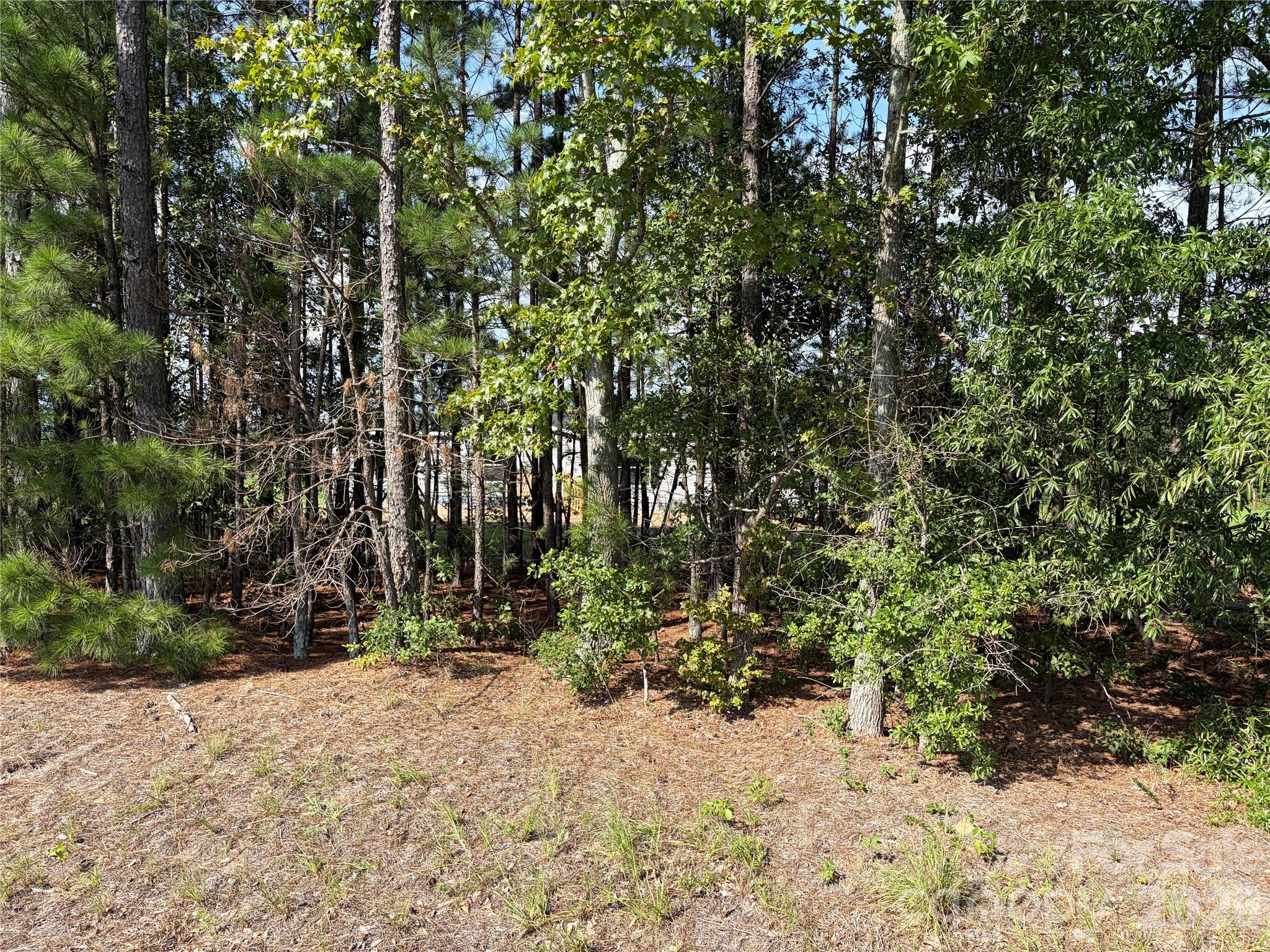 816 Hough Street — Mount Croghan